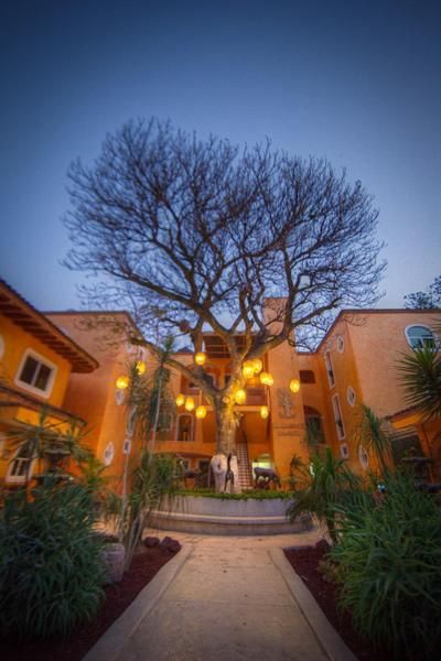 El Chante Spa Hotel — foto 6