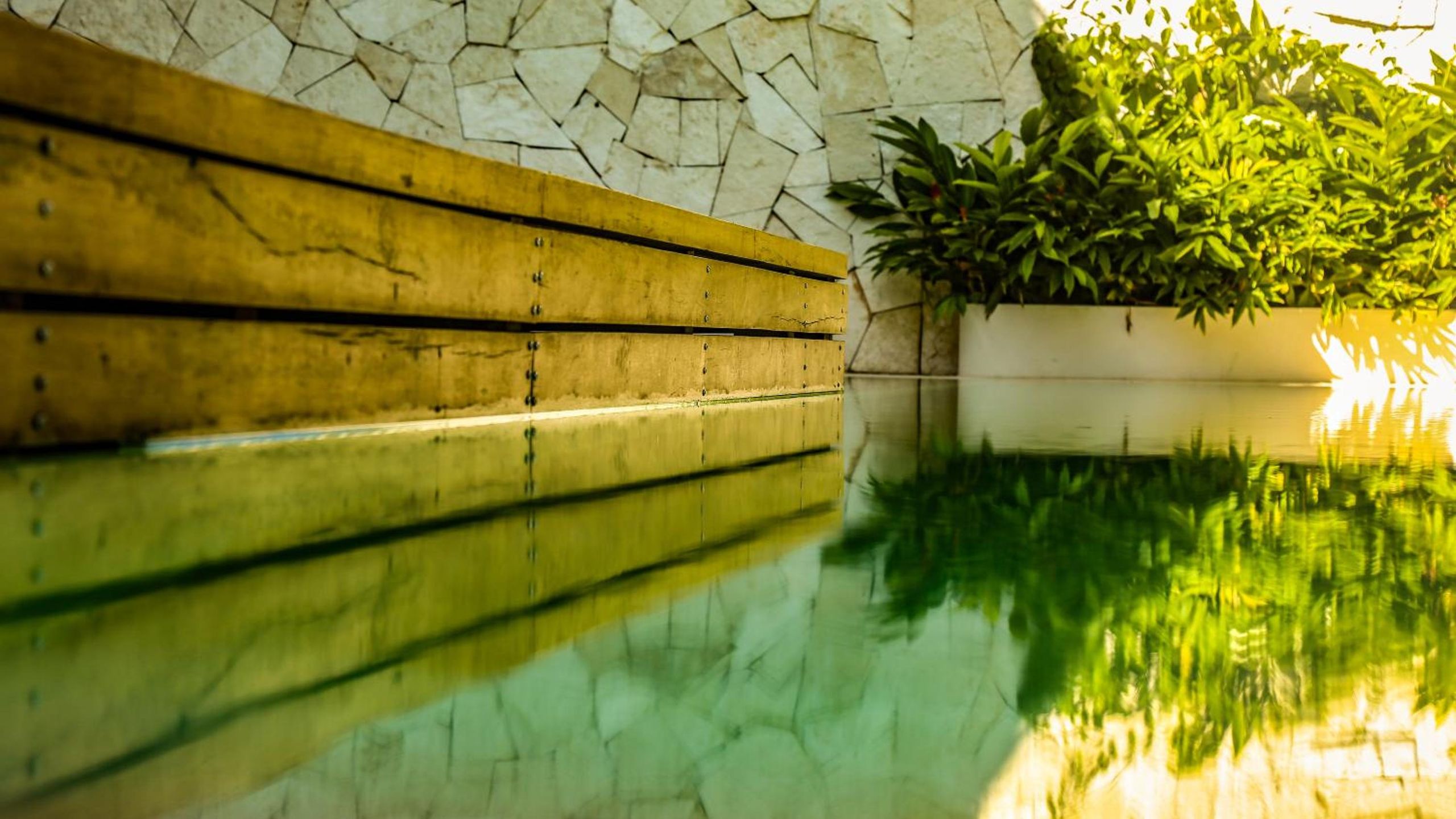 AGAM Hotel Boutique Bacalar - Adults Only — foto 8