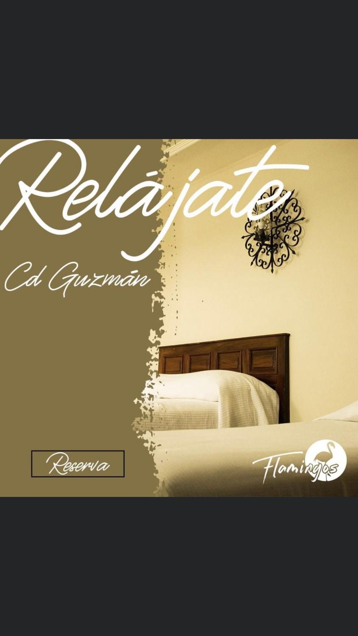 HOTEL FLAMINGOS DE CIUDAD GUZMAN — foto 8