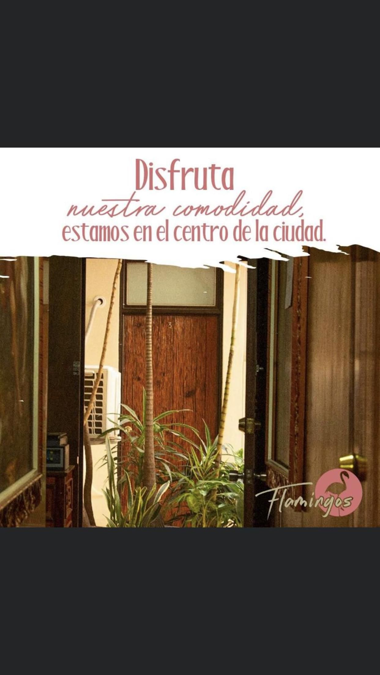 HOTEL FLAMINGOS DE CIUDAD GUZMAN — foto 7