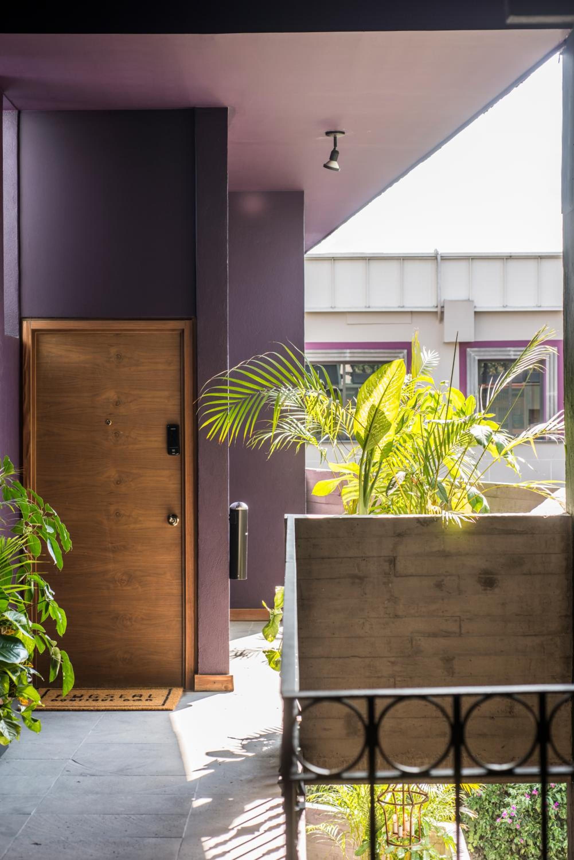 Pug Seal Polanco Anatole France — foto 6