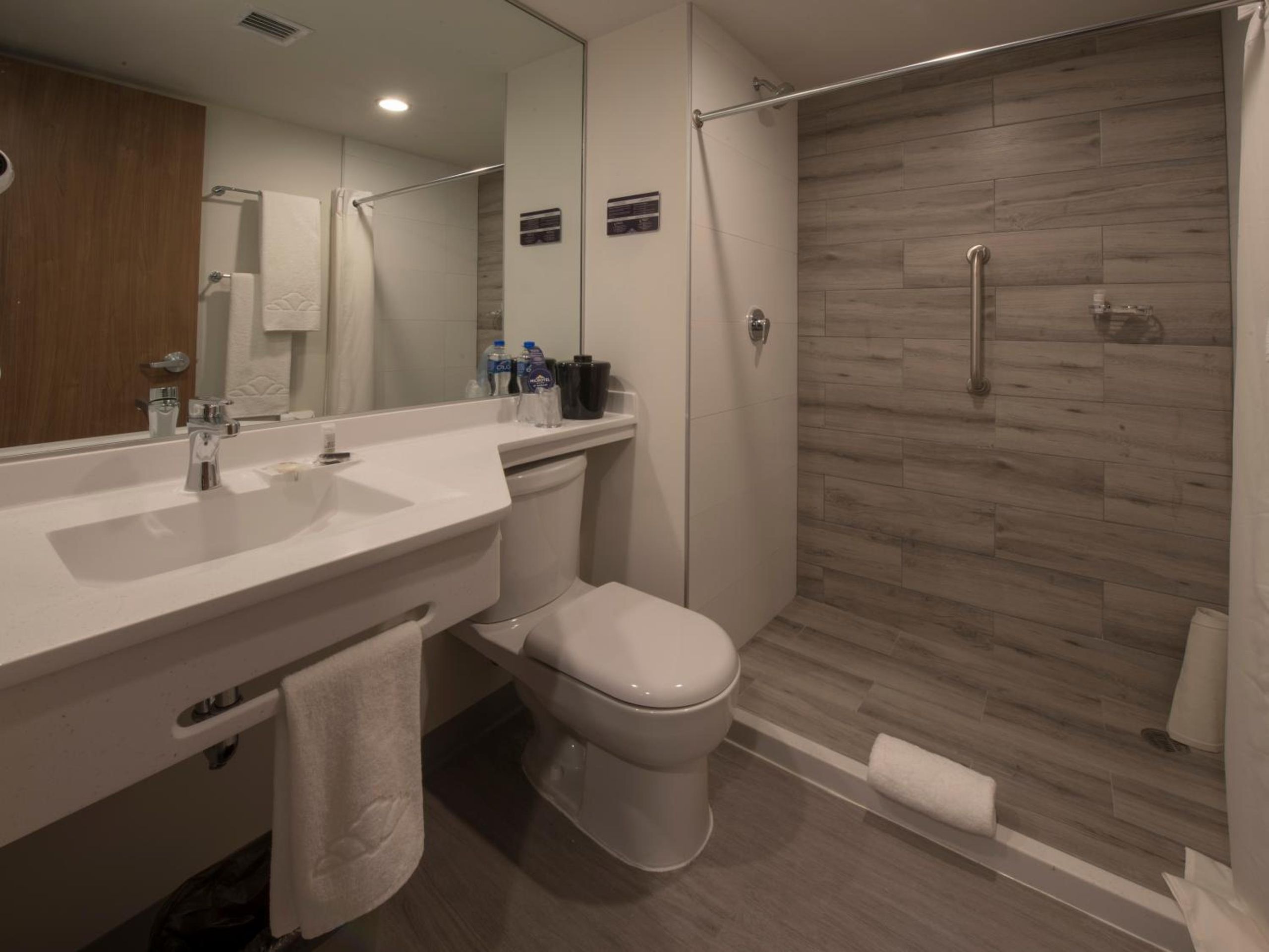 Microtel Inn & Suites by Wyndham Guadalajara Sur — foto 2