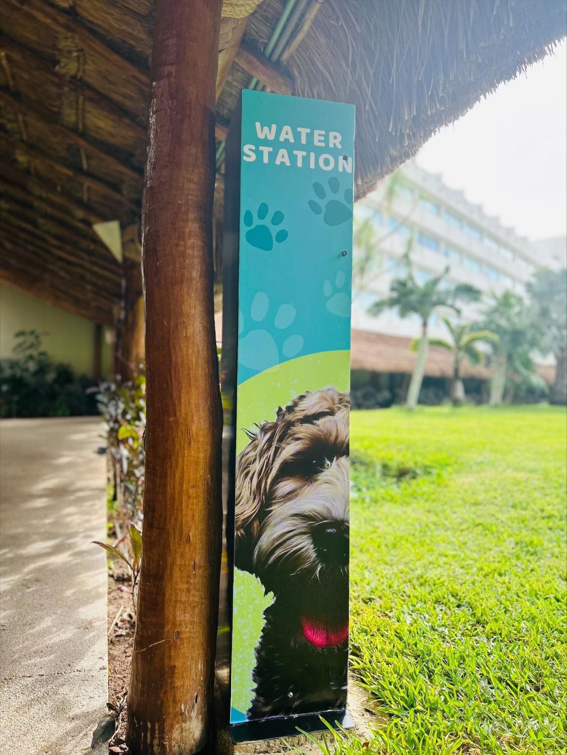 Presidente InterContinental Cancun Resort — foto 4