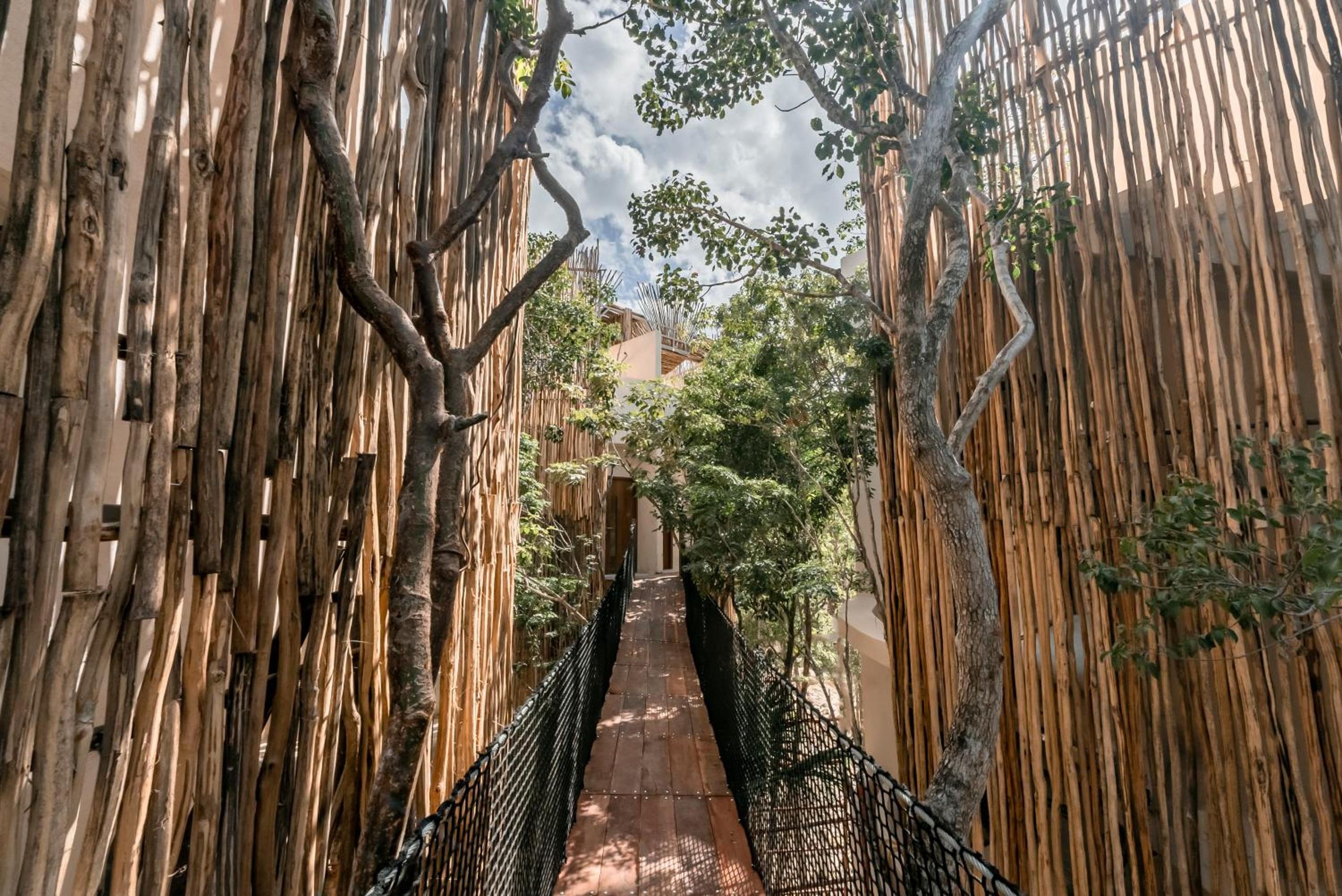 Taio Tulum — foto 2