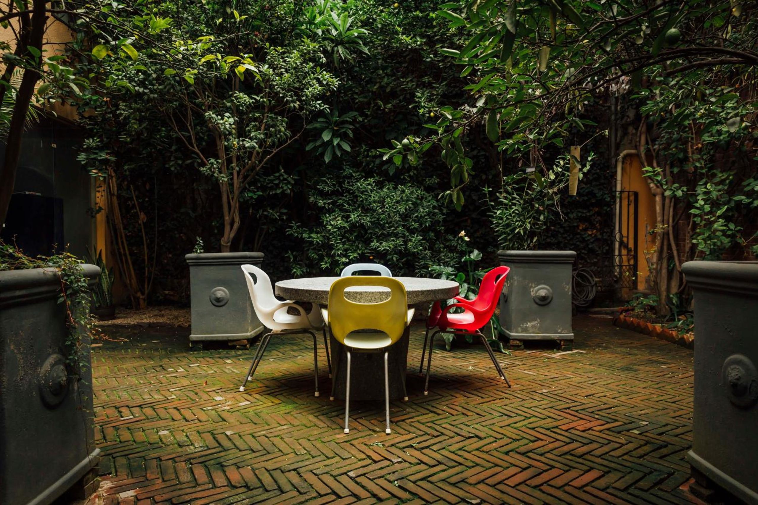 Maison du comte — foto 7