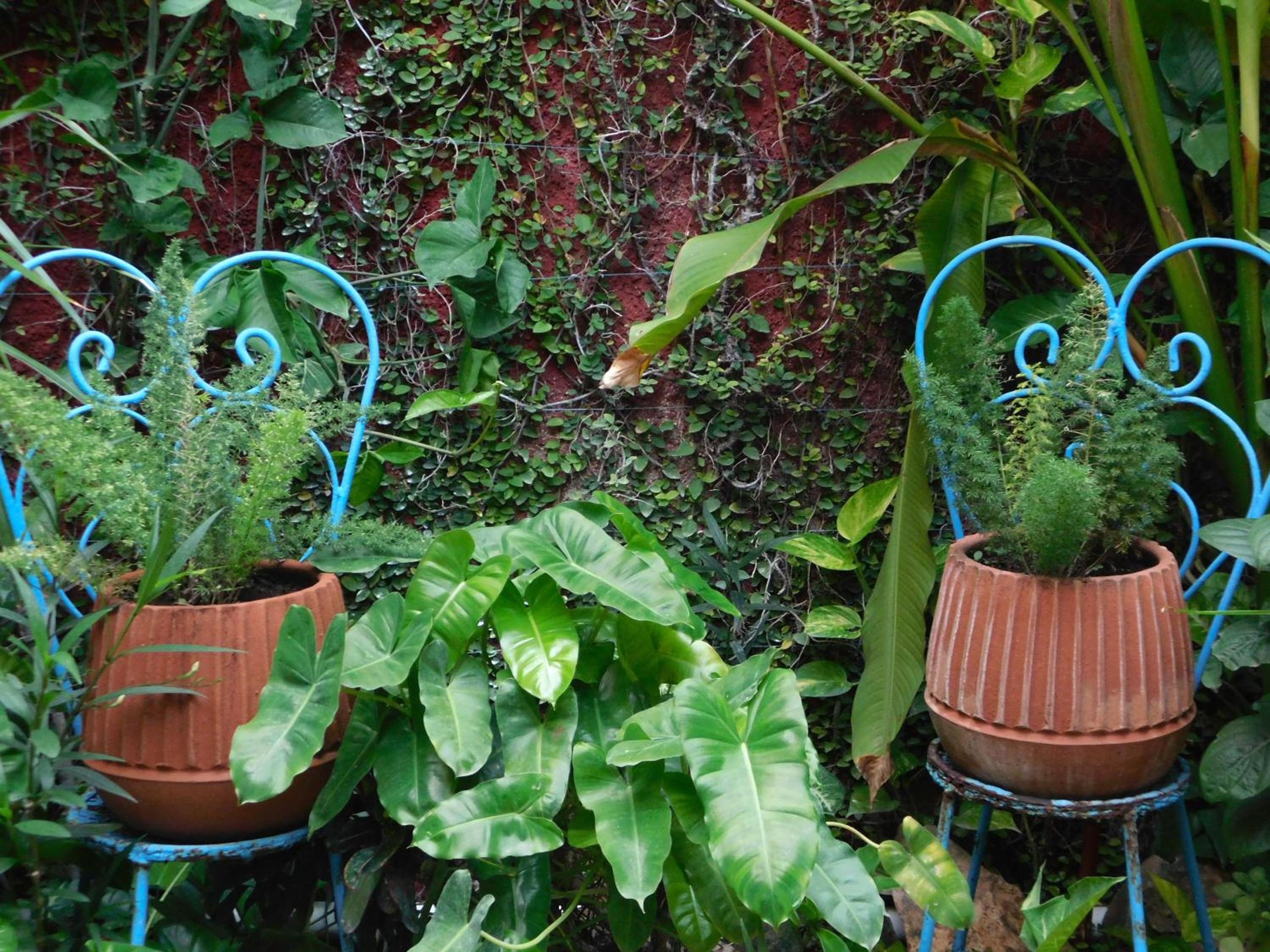 Hotel Boutique Casa Flor de Mayo — foto 4