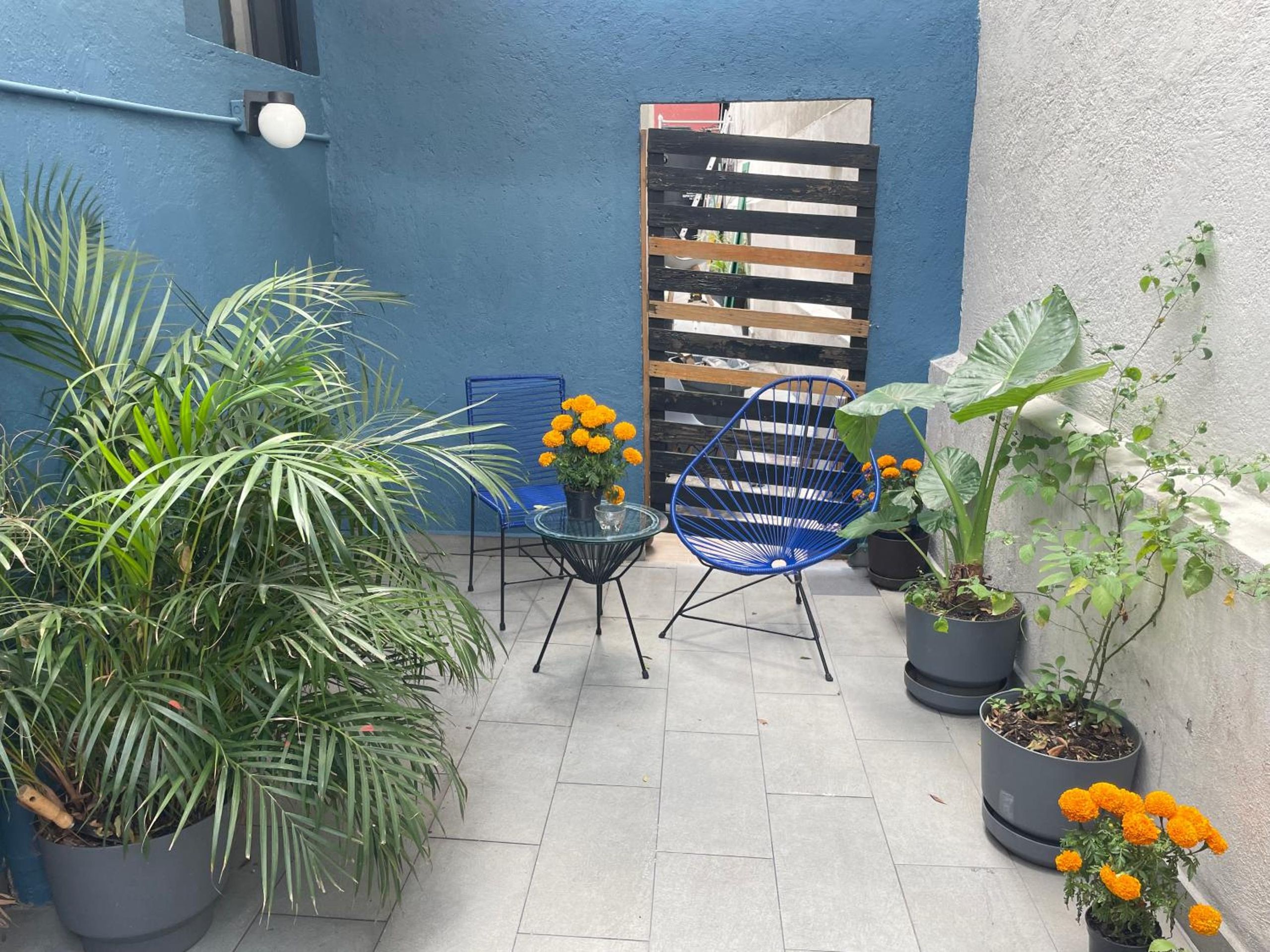 Colmena Hotel CDMX Tonala — foto 6