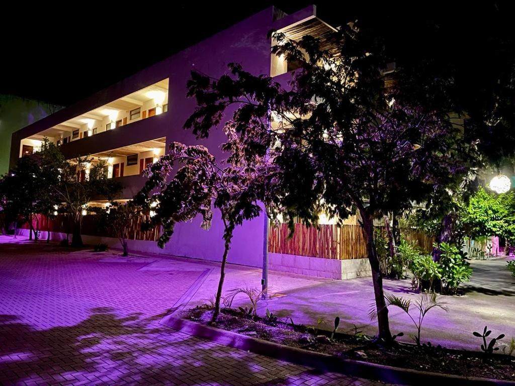 Niik Tulum — foto 2