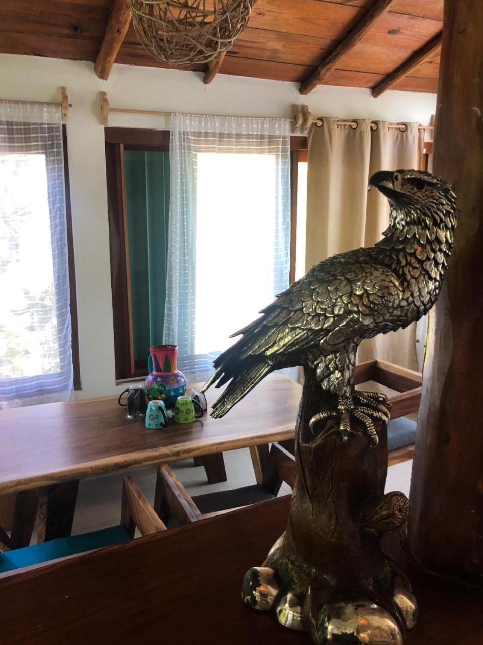 Suite Meztli — foto 8