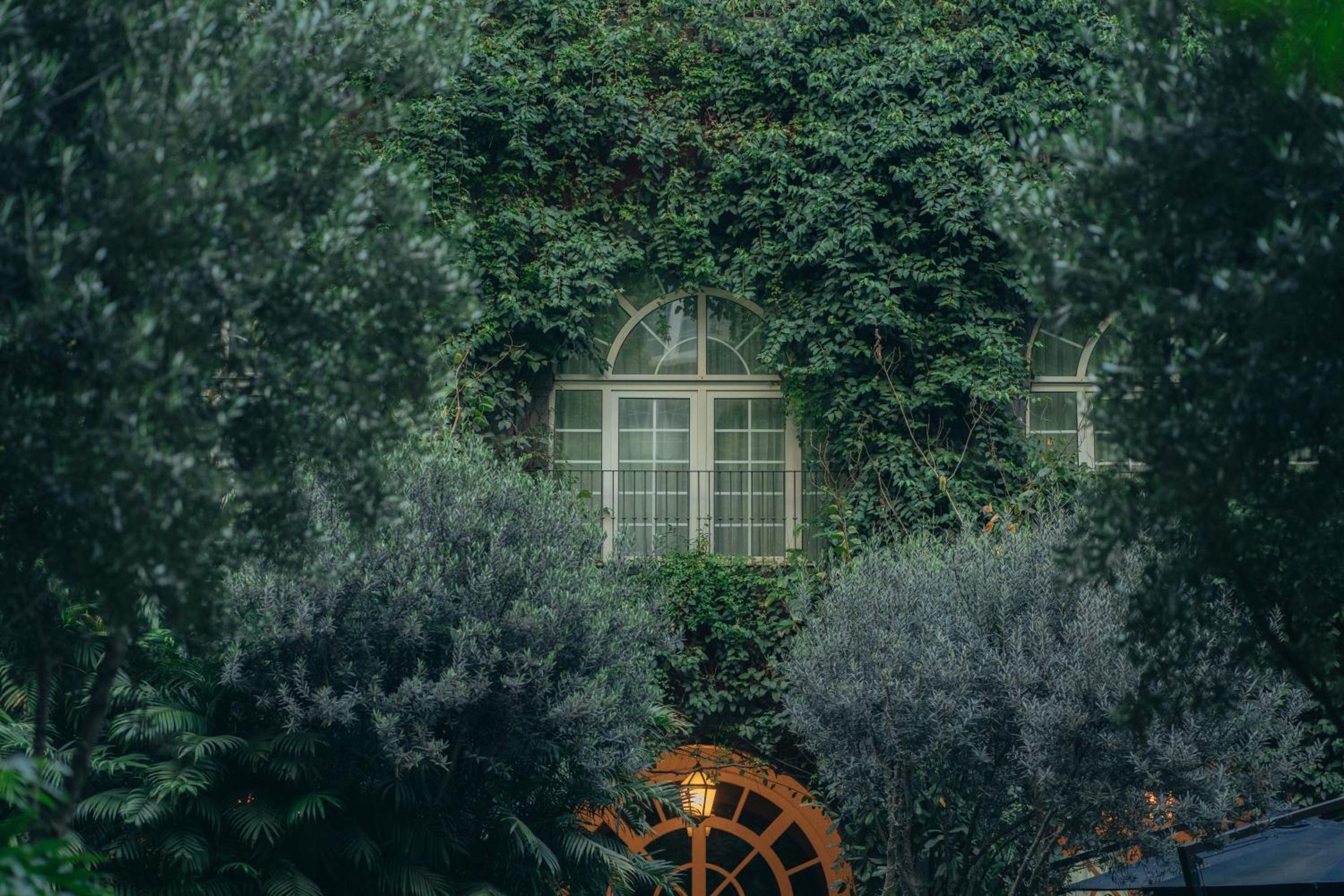 Four Seasons Hotel Mexico City — foto 8