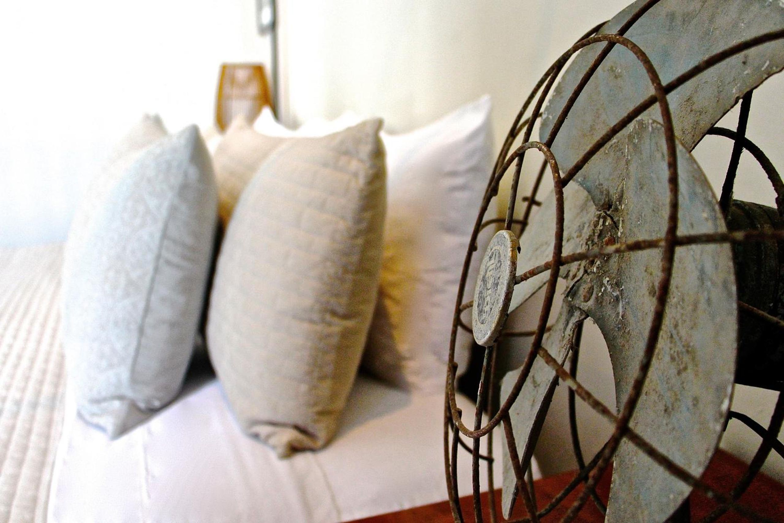 The Diplomat Boutique Hotel — foto 3