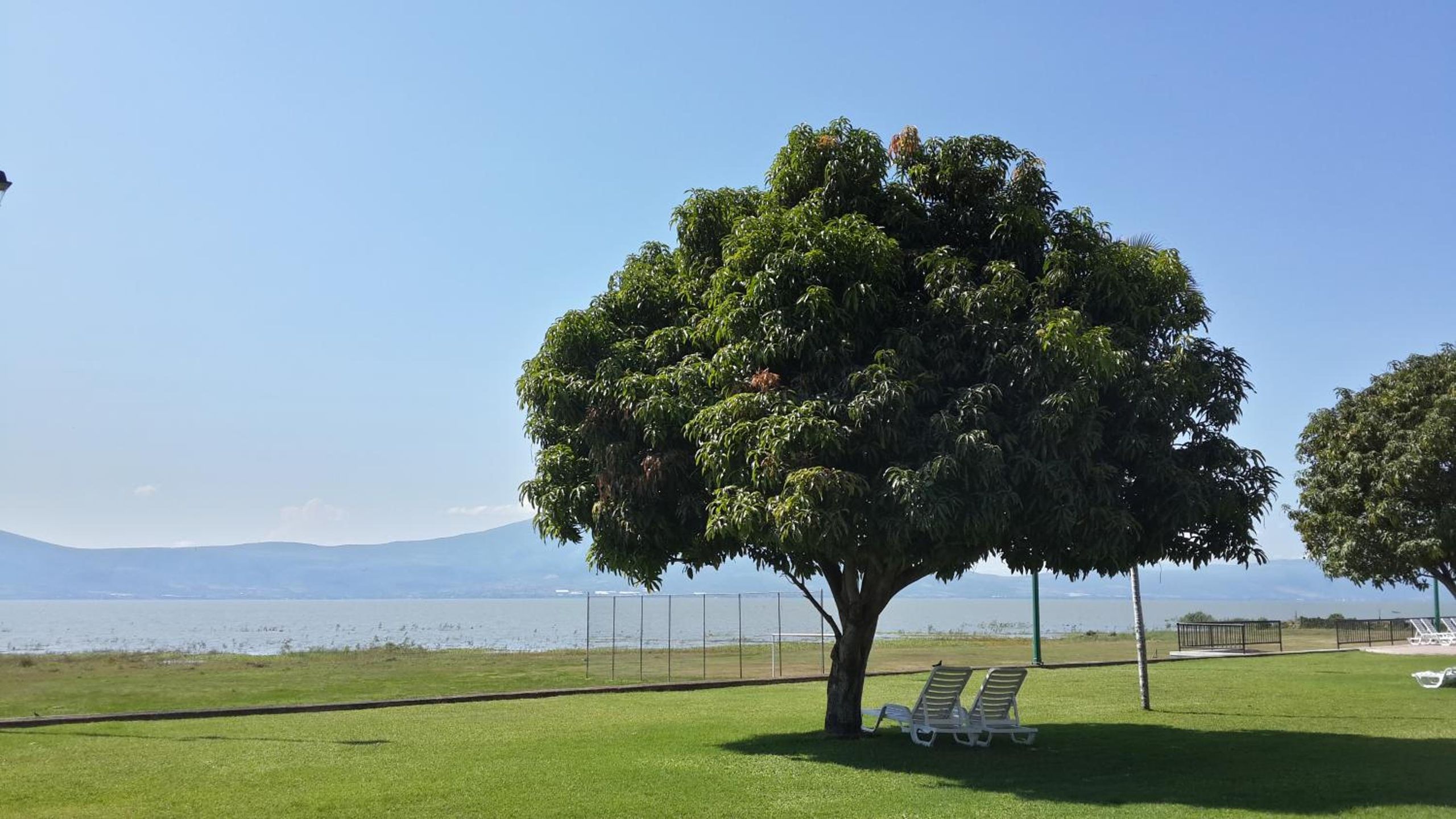 Real de Chapala — foto 6