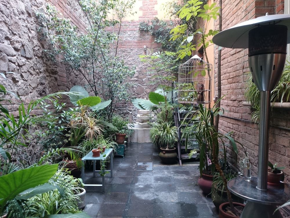 El Patio 77 — foto 6