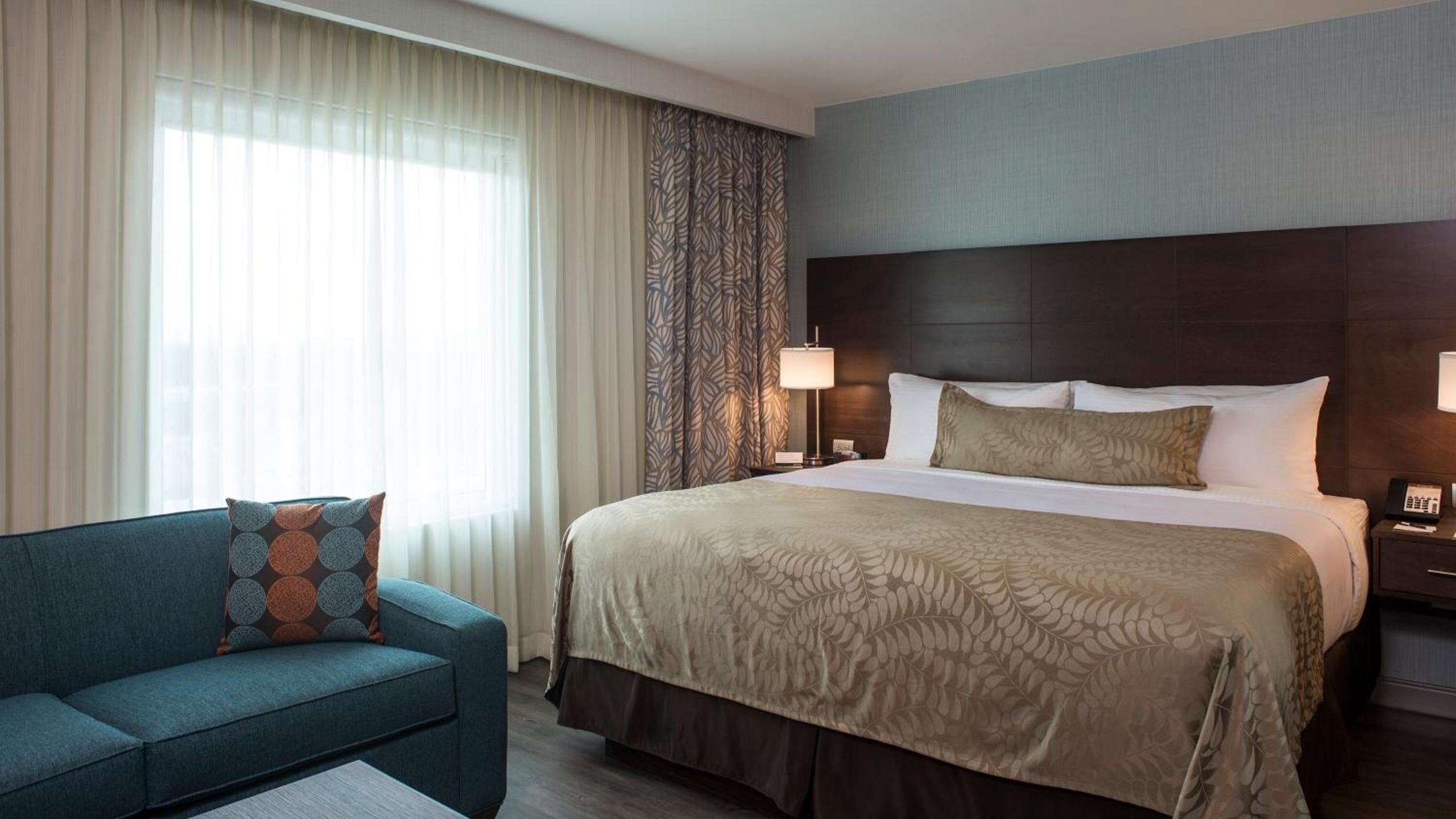 Suite King — 5