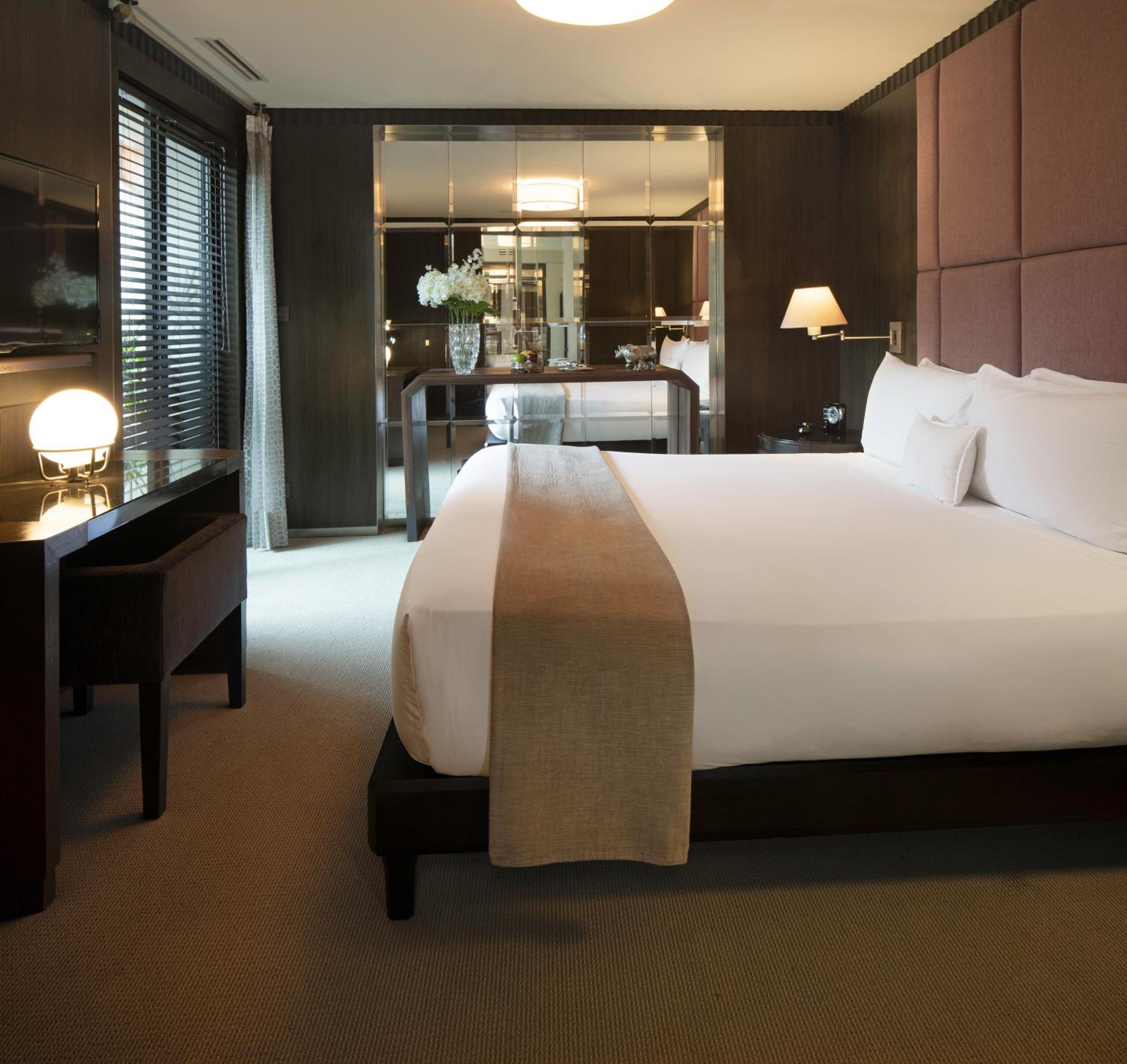 Suite Ejecutiva — 5