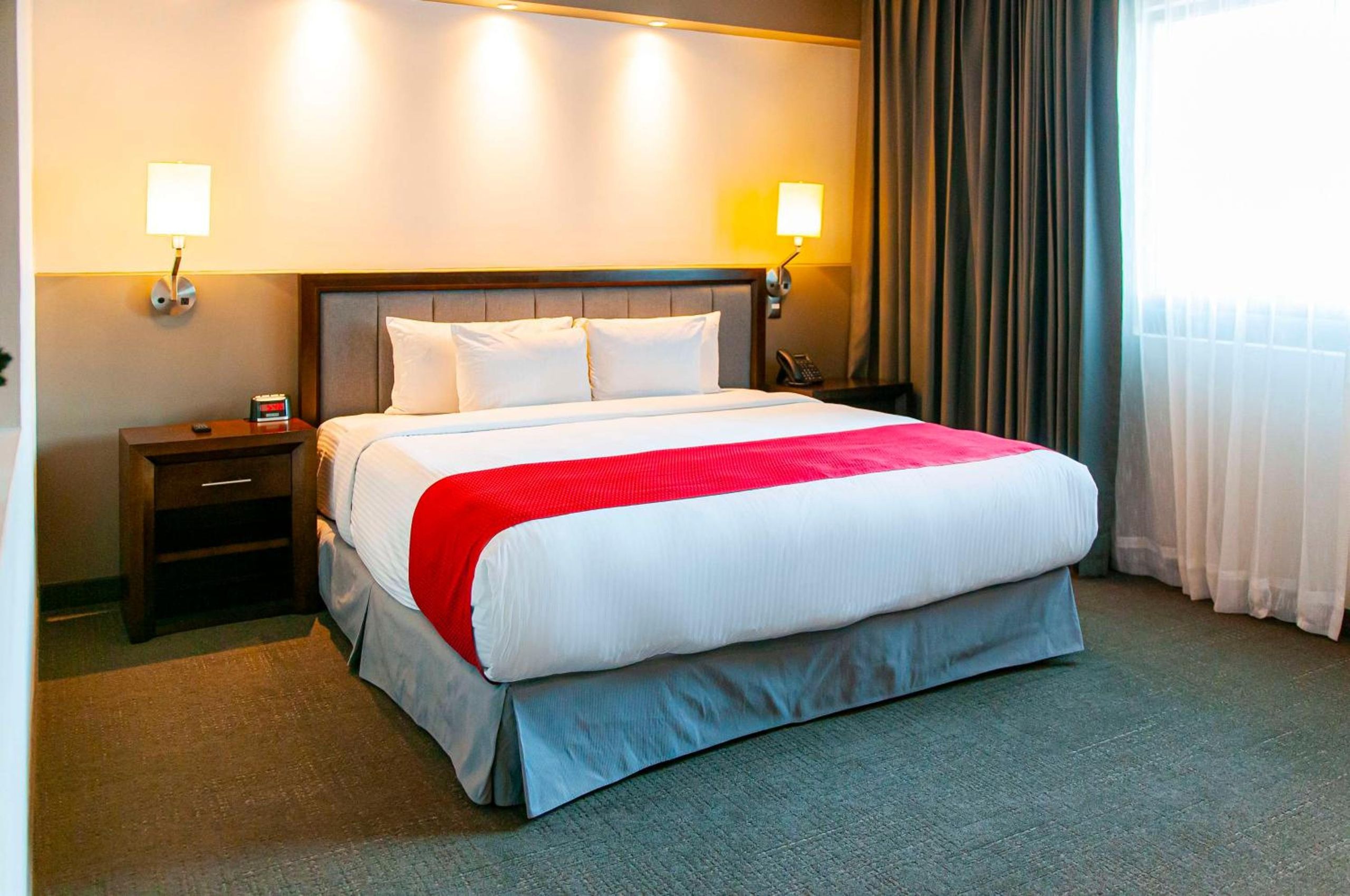 Suite Junior King con Sofá Cama