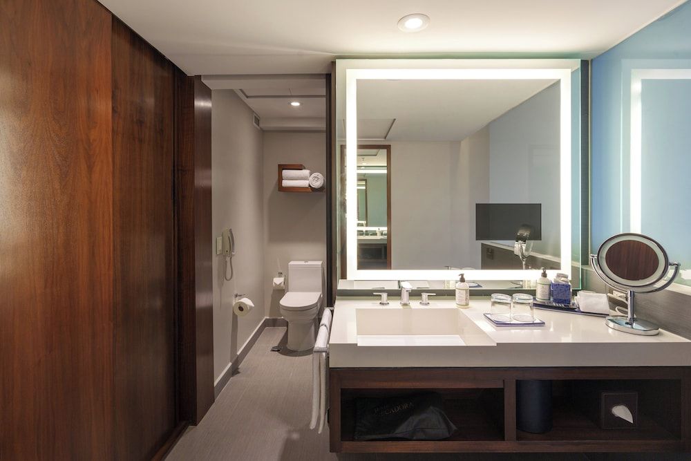 Habitación Clásica, 1 cama King, Club Lounge Access (Chapultepec Park View)