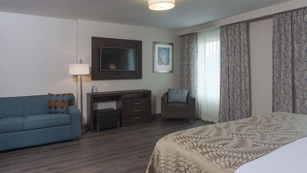 Studio Suite, Mobility accesible, Kitchen — 2