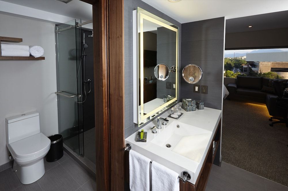 Habitación Clásica, 1 cama King (Polanco View) — 2