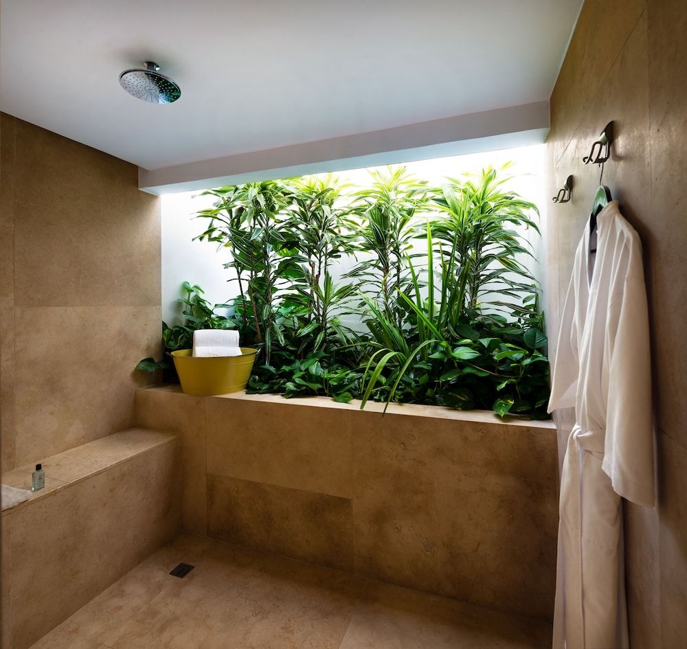 Presidencial Suite, 1 cama King (Coral) — 5