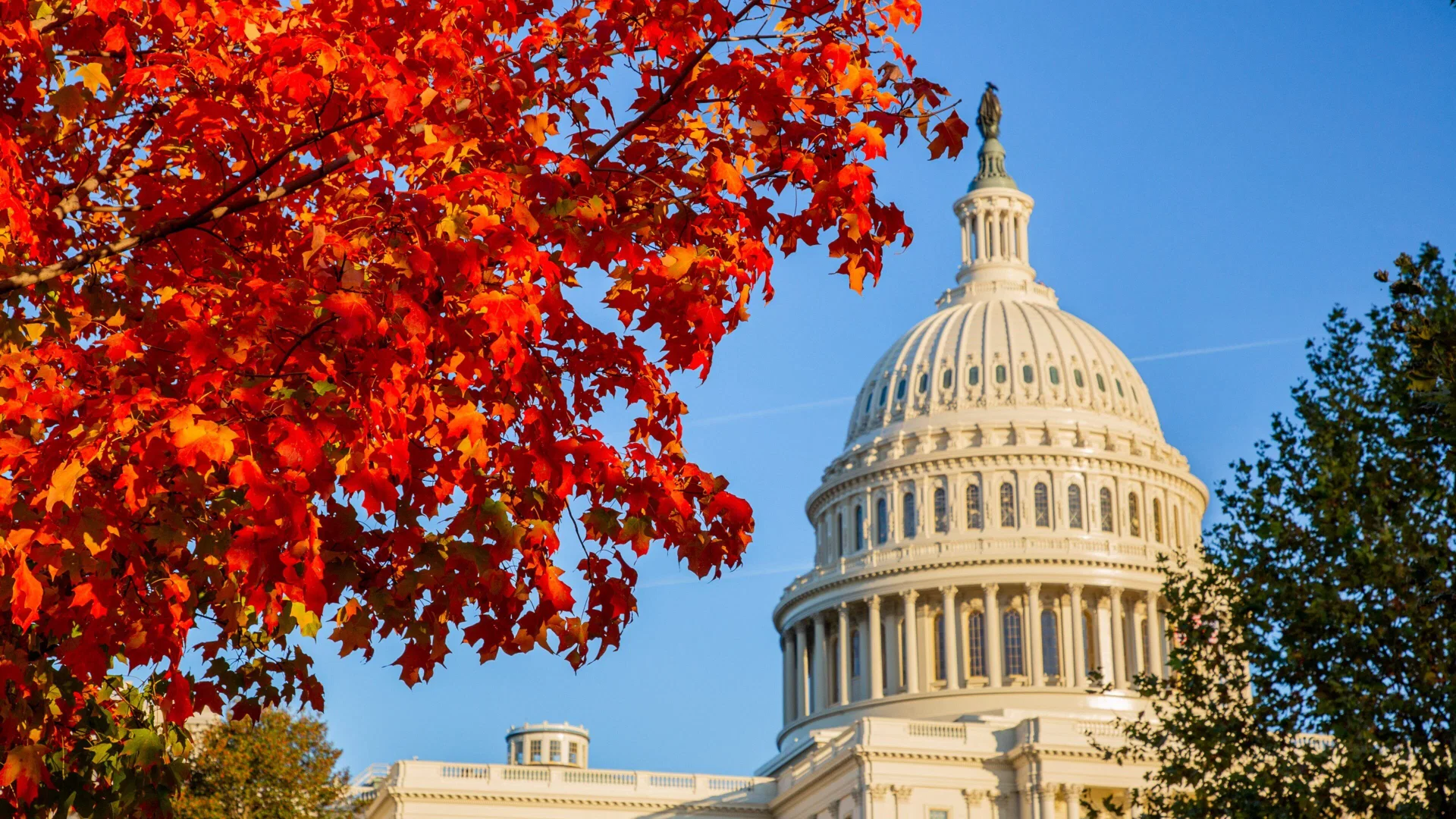 Washington D.C. — Capital, museos Smithsonian gratis