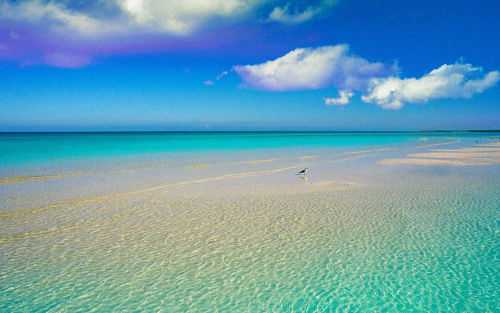Holbox, Quintana Roo
