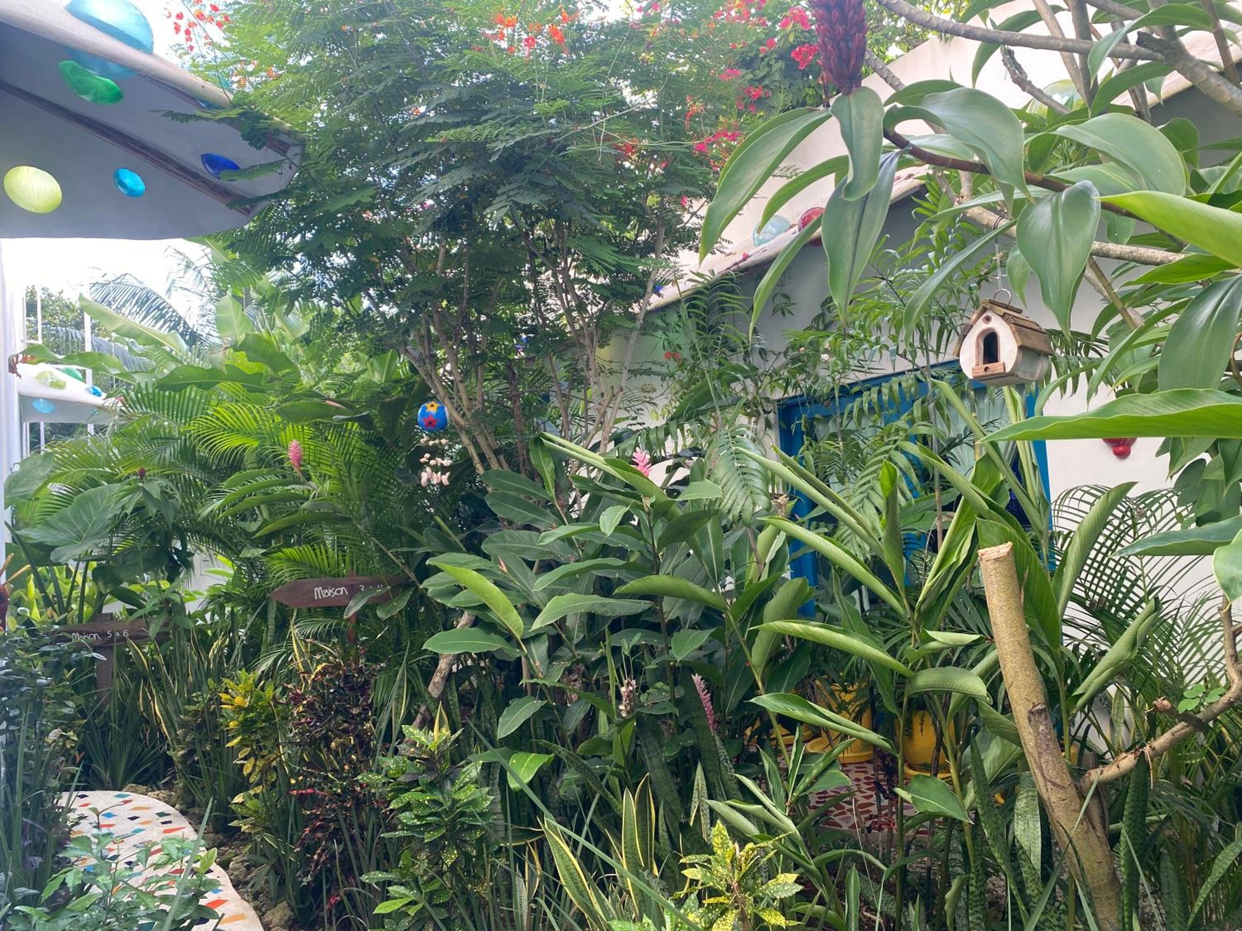 Maison Bacalar - 4