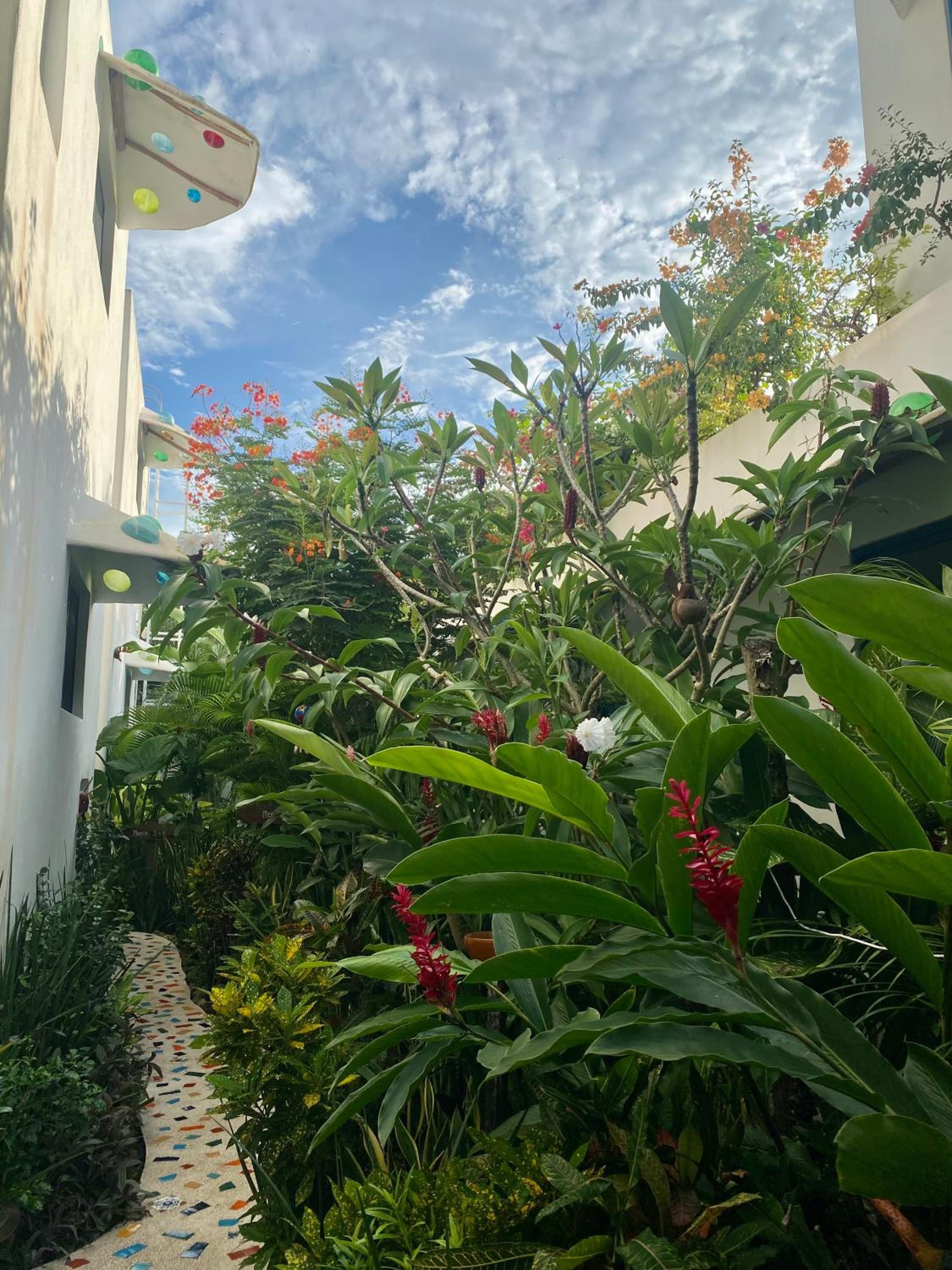 Maison Bacalar - 3