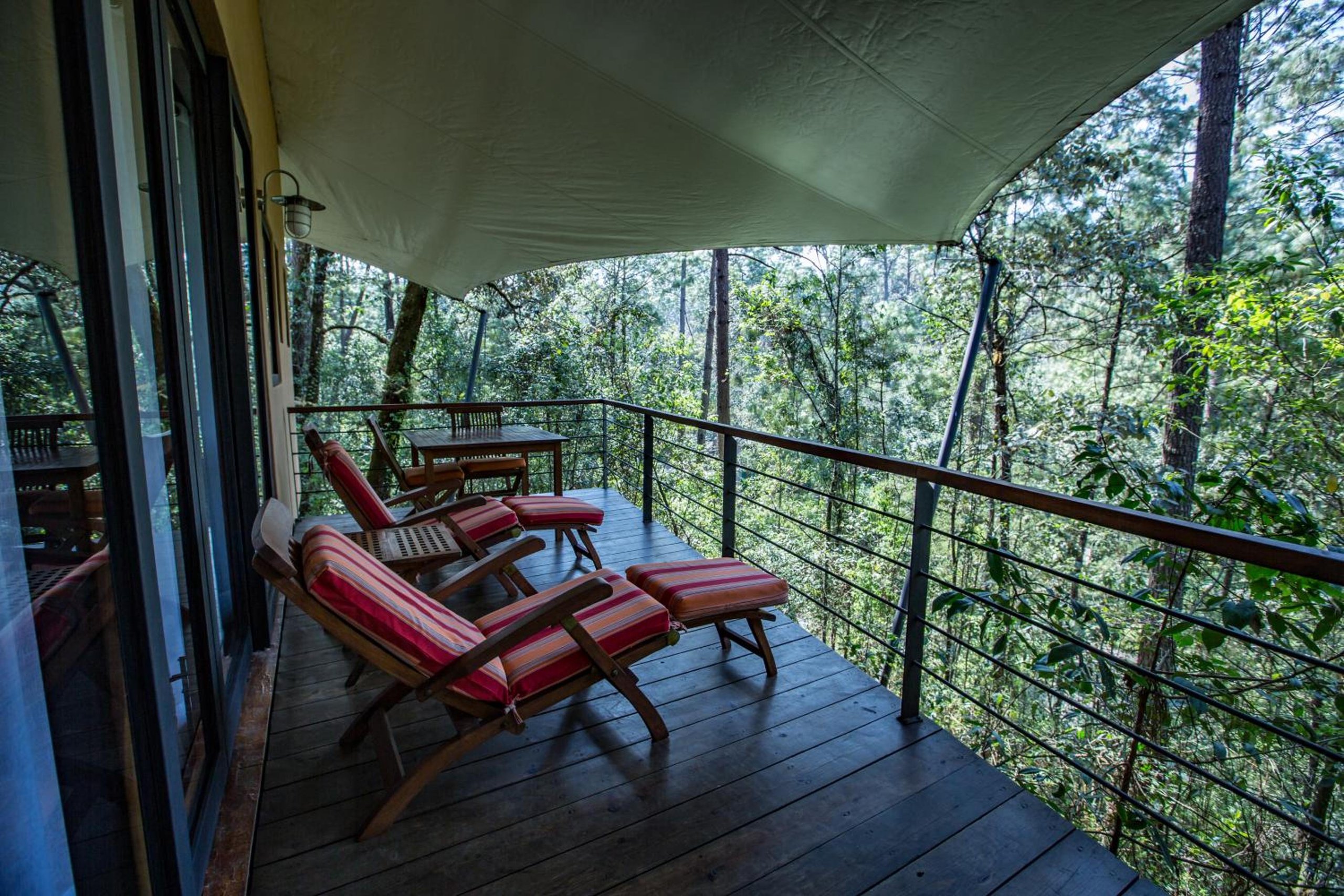 Suite King — 6