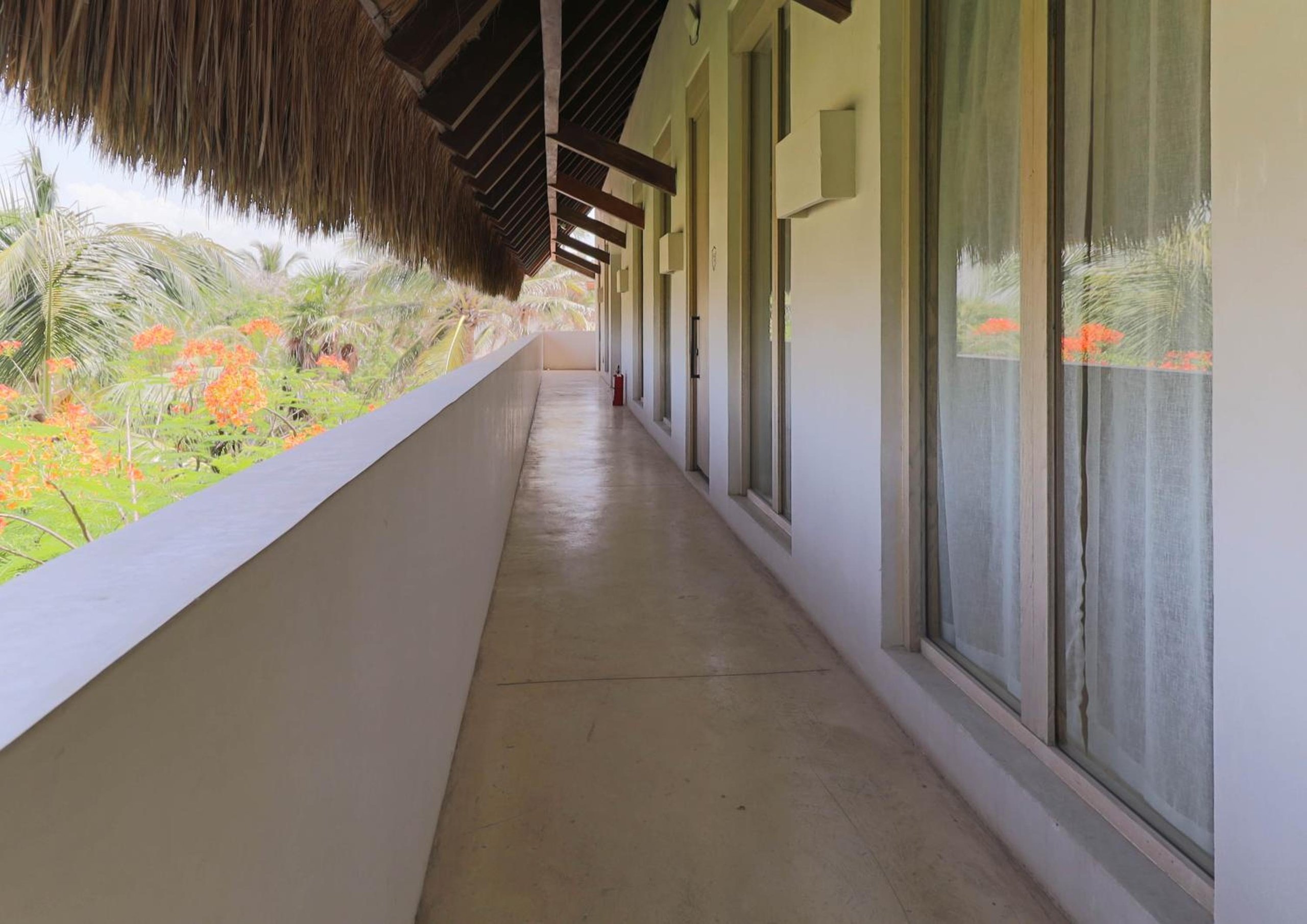 Suite — 3