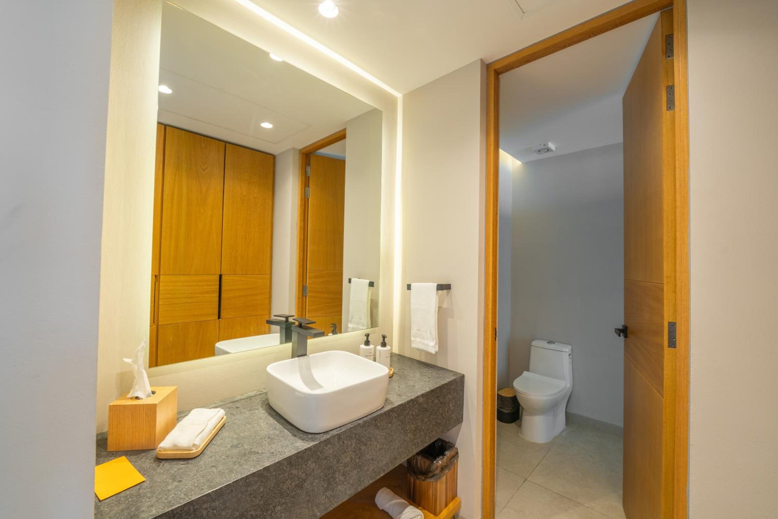 Suite con Lake View — 4
