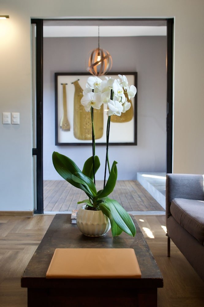 Chalet de diseño — 3