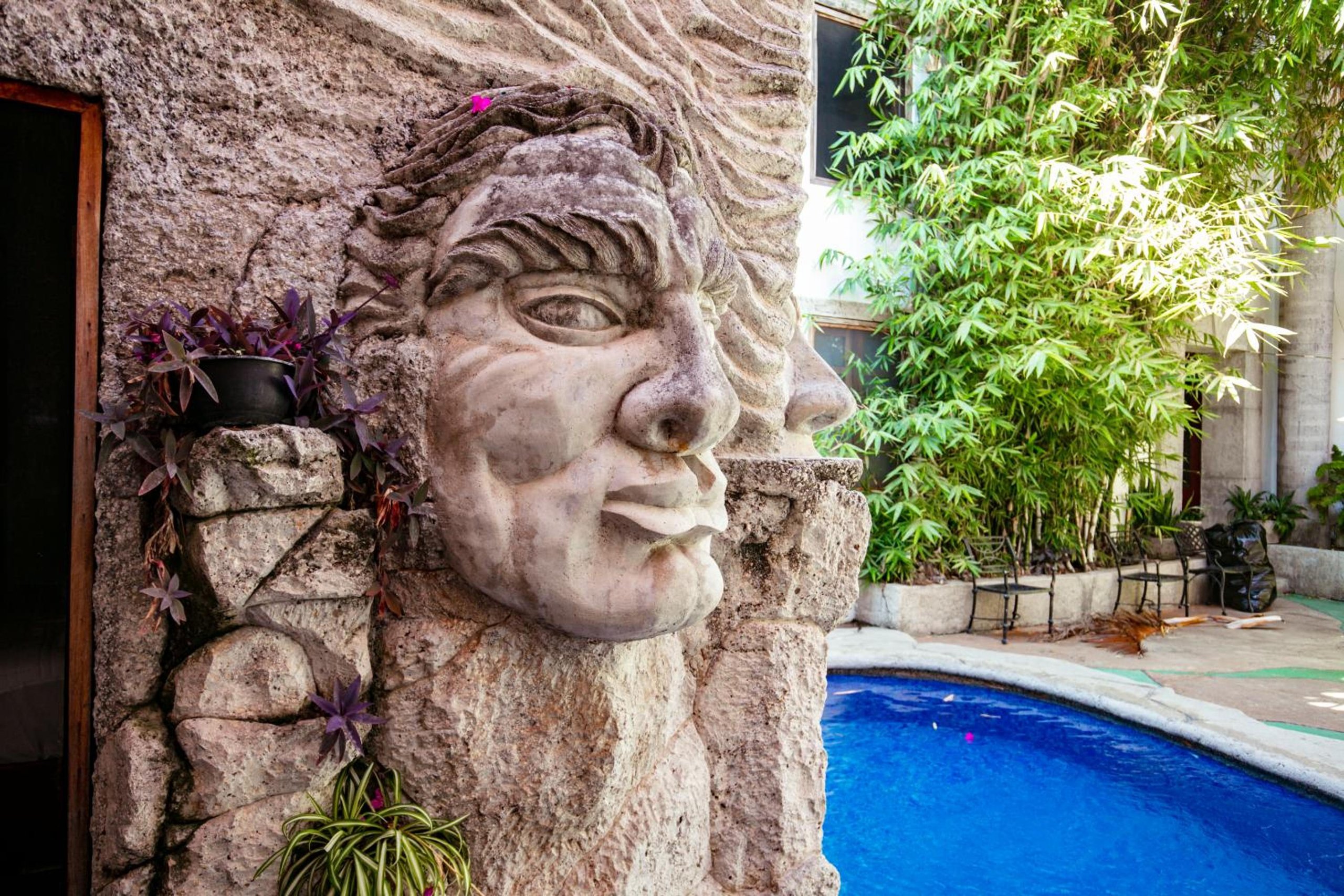 Villa Serena Centro Historico - 2