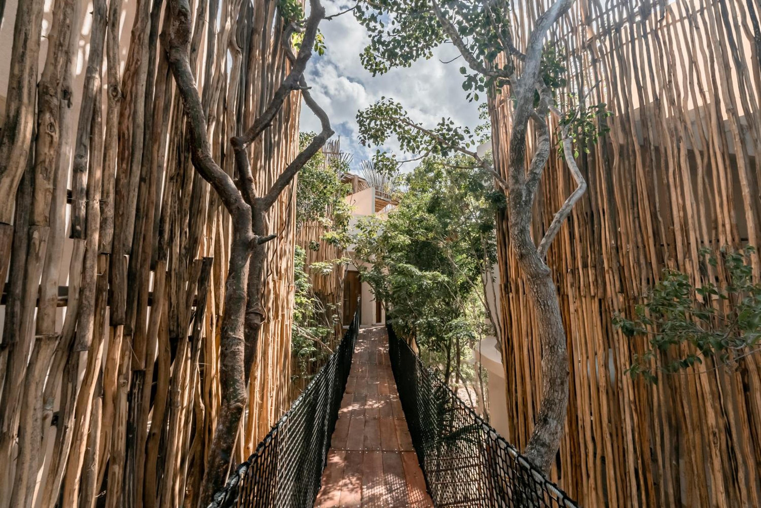 Taio Tulum - 2