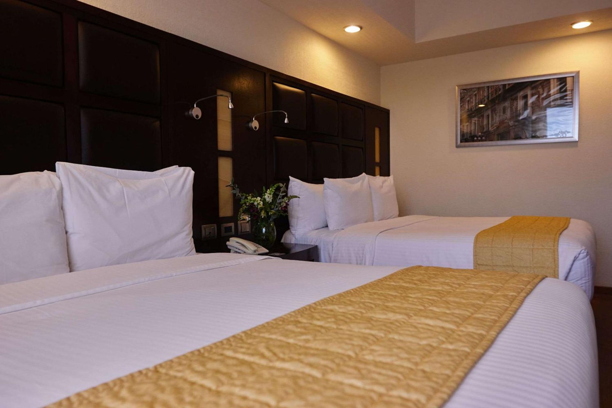 Comfort Inn Puebla Centro Hist rico - 2