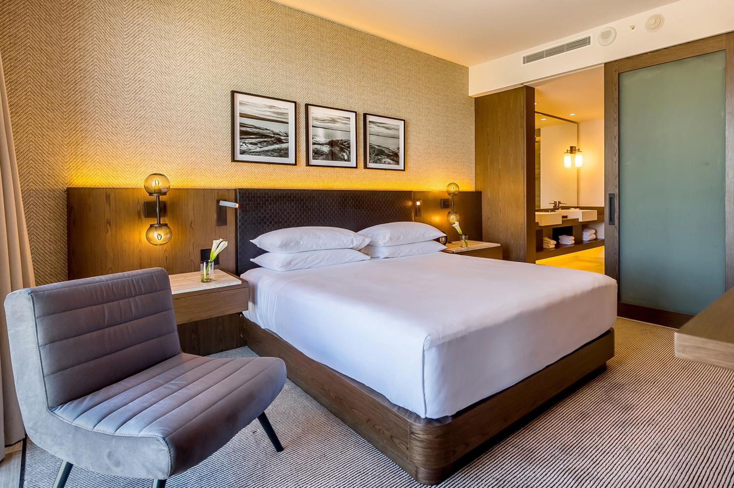 Suite King