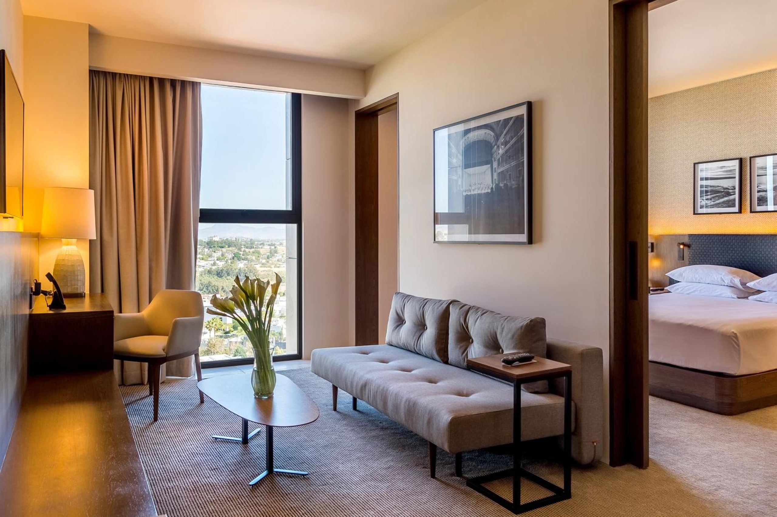 Suite King — 2
