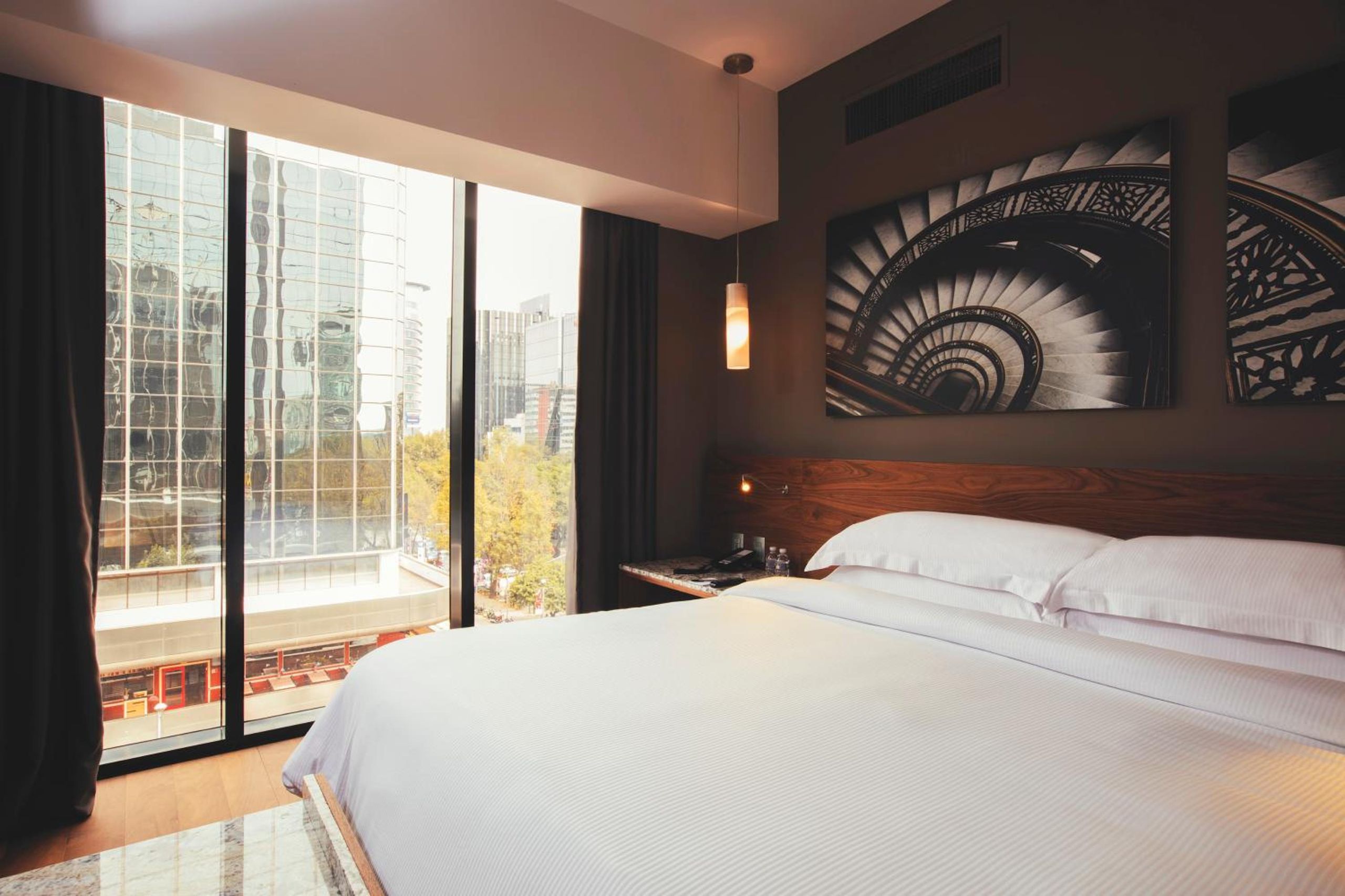 Suite Ejecutiva — 7