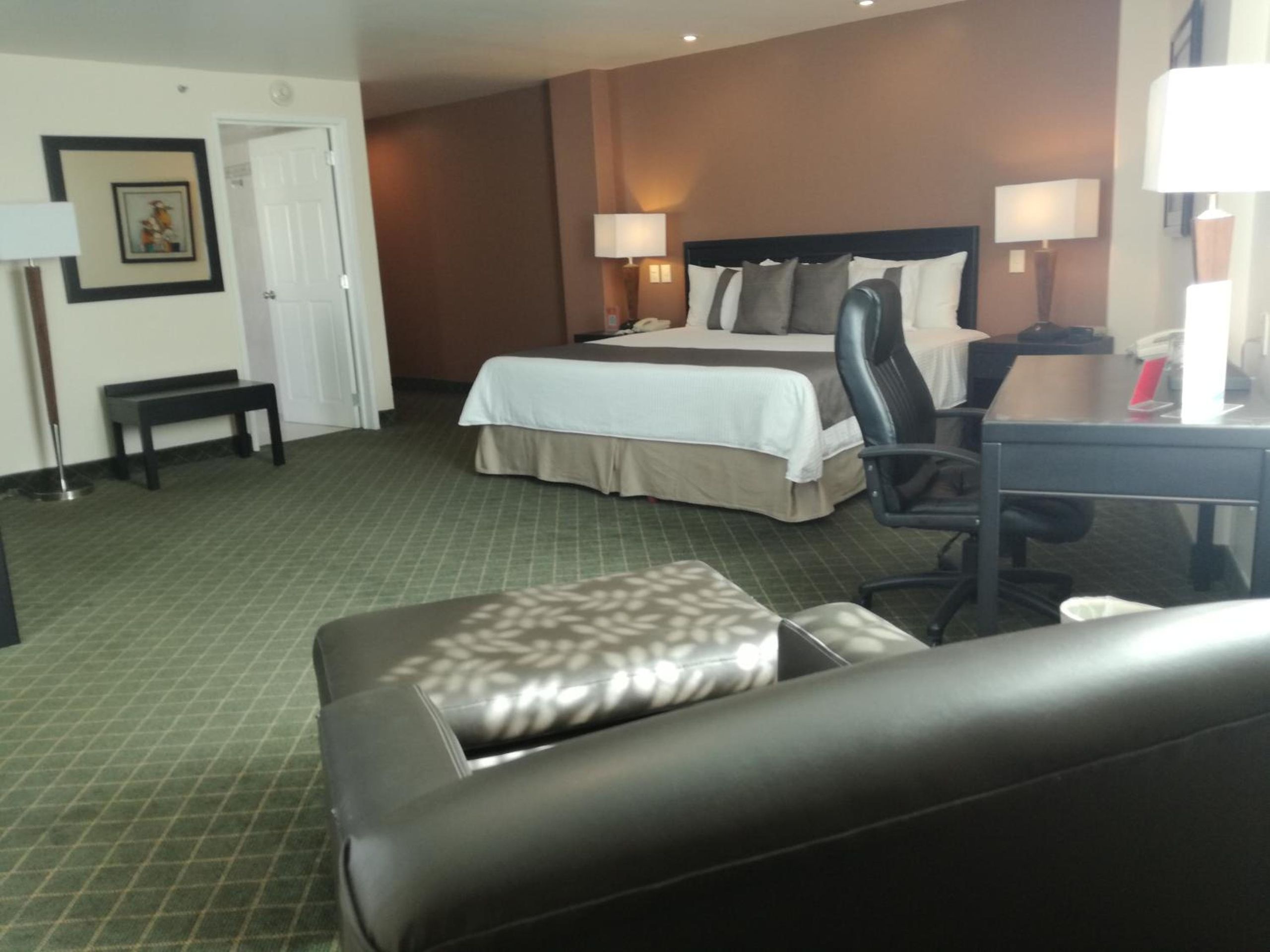 Suite Junior — 4