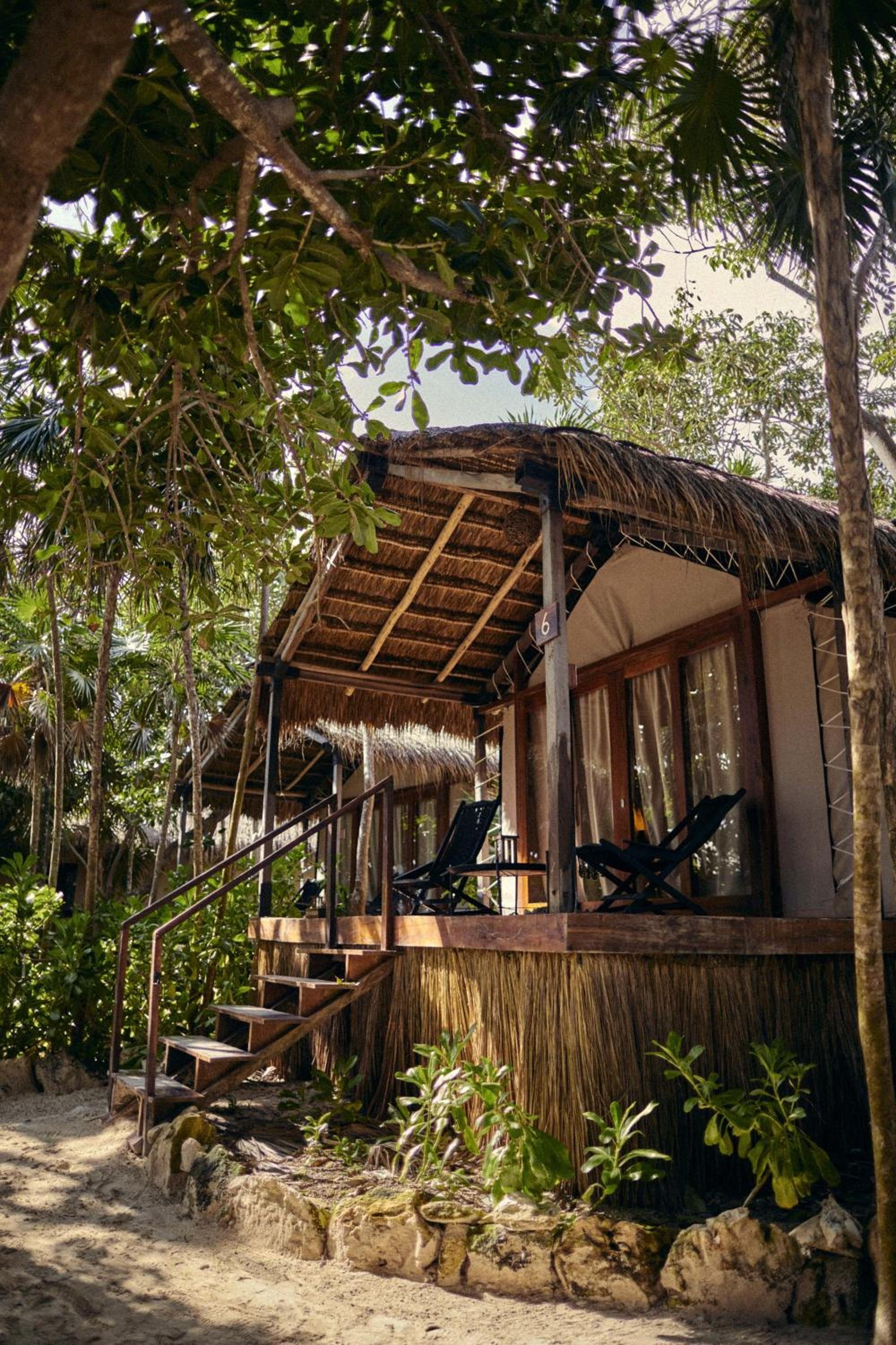 Habitación Selva — 3
