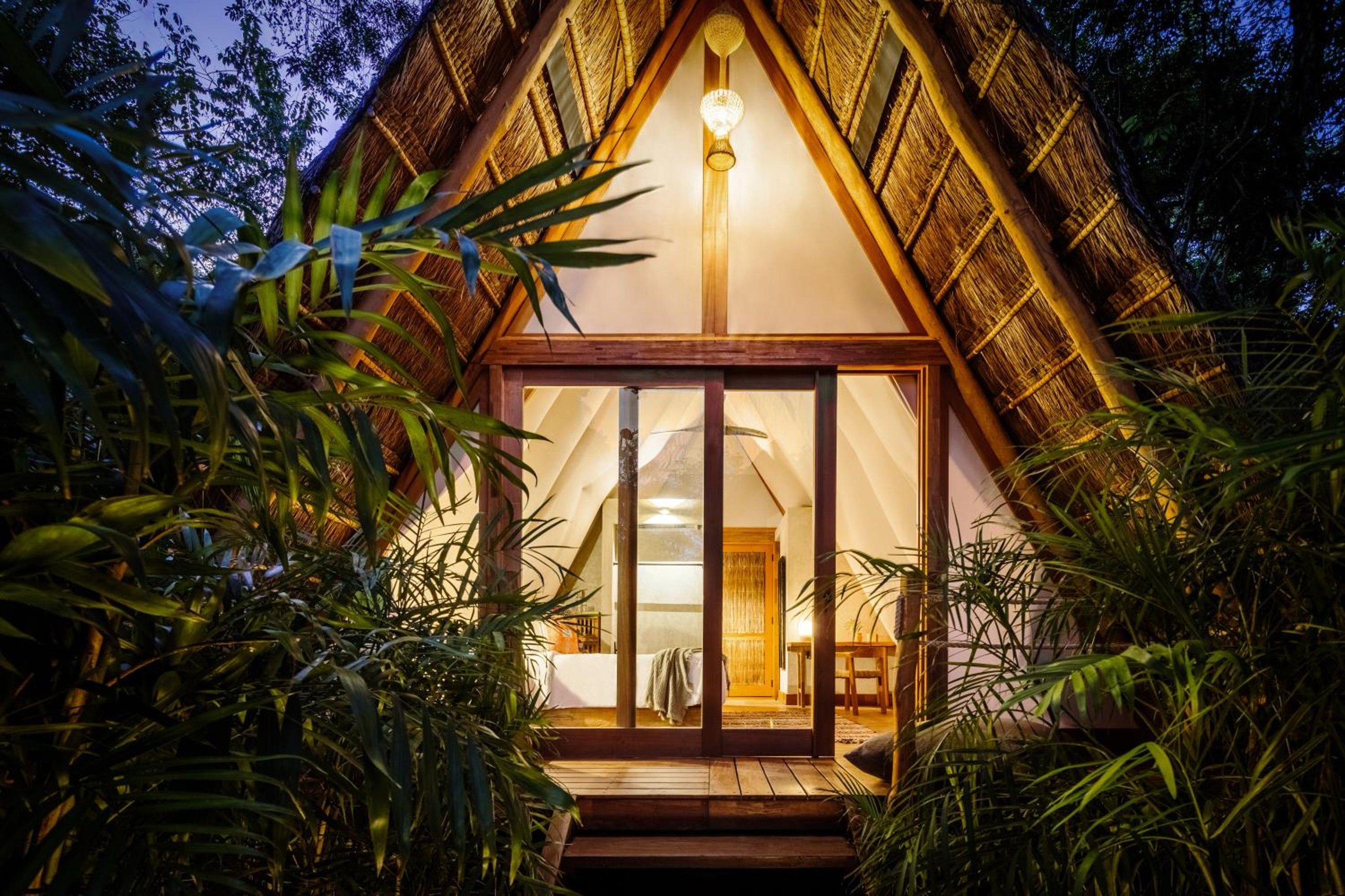 Habitación Selva — 5