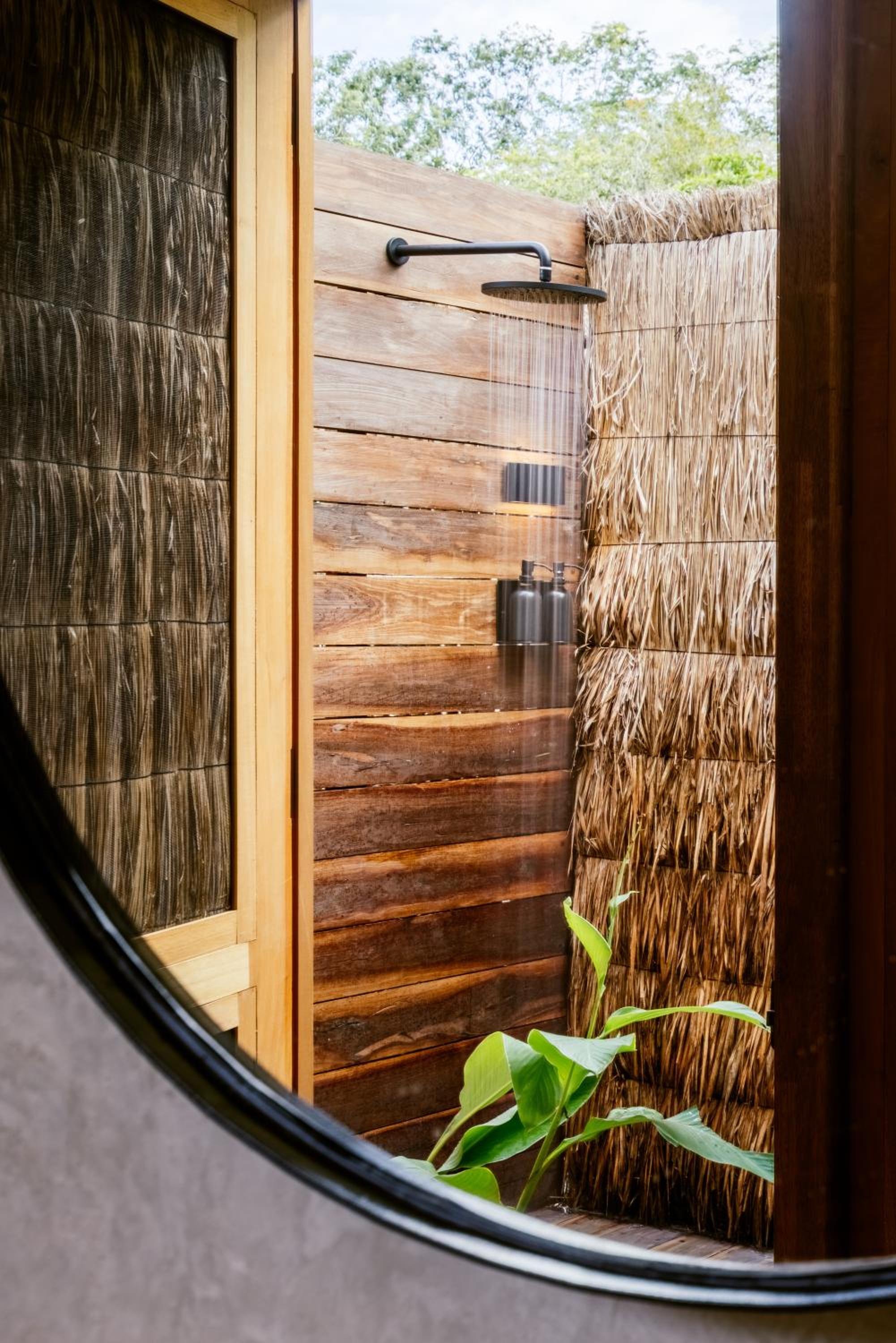 Habitación Selva — 4