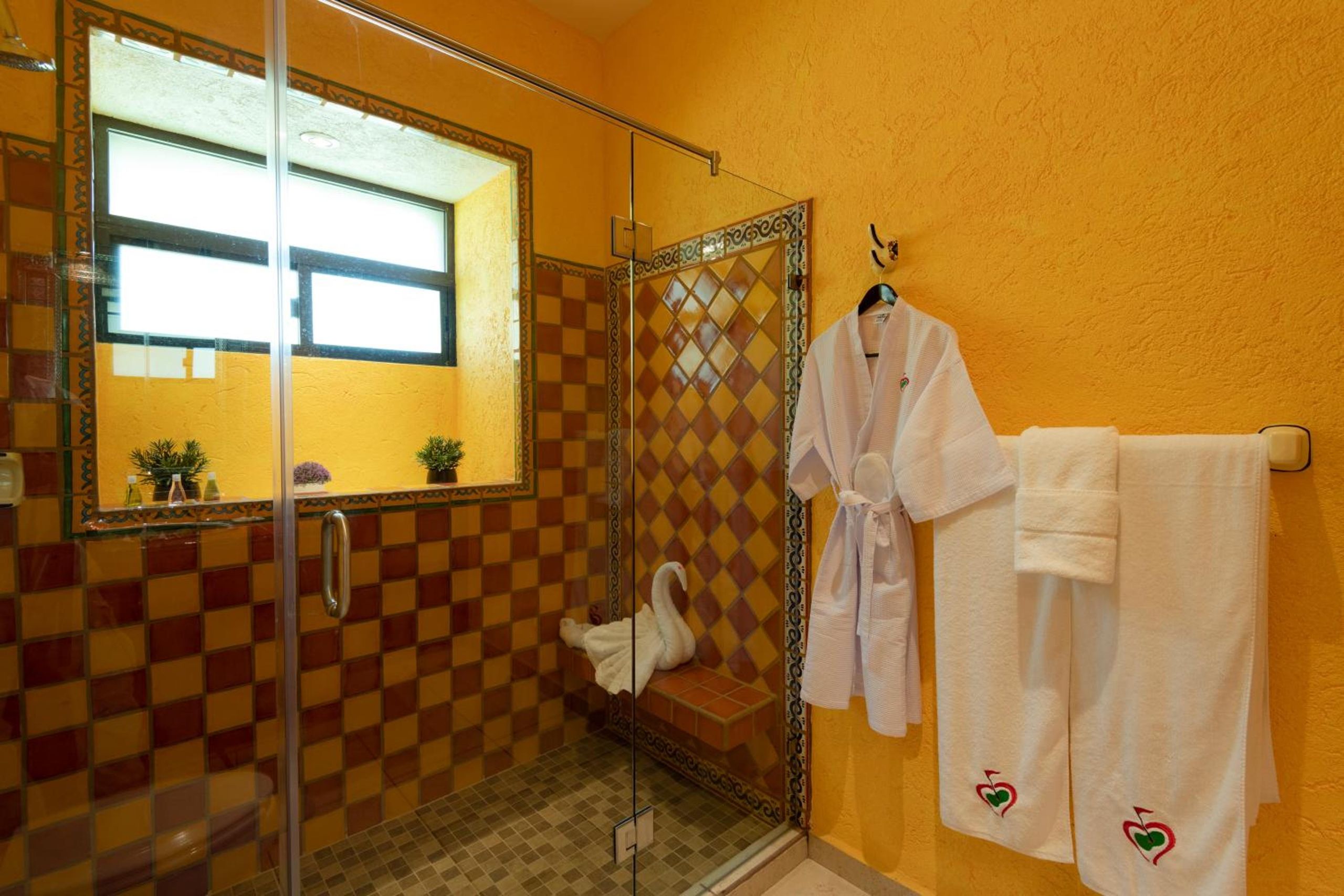Suite con Terraza — 3