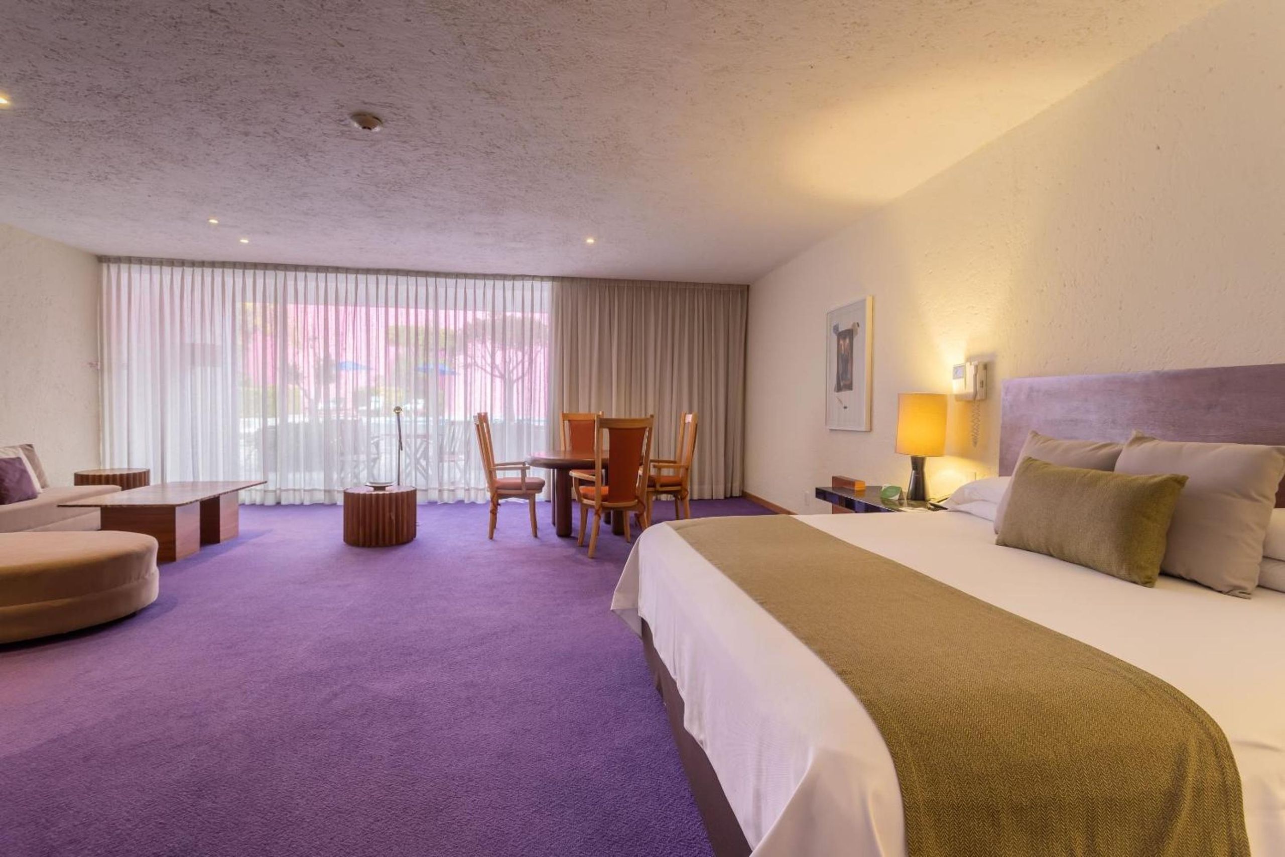 Suite Fiesta — 7