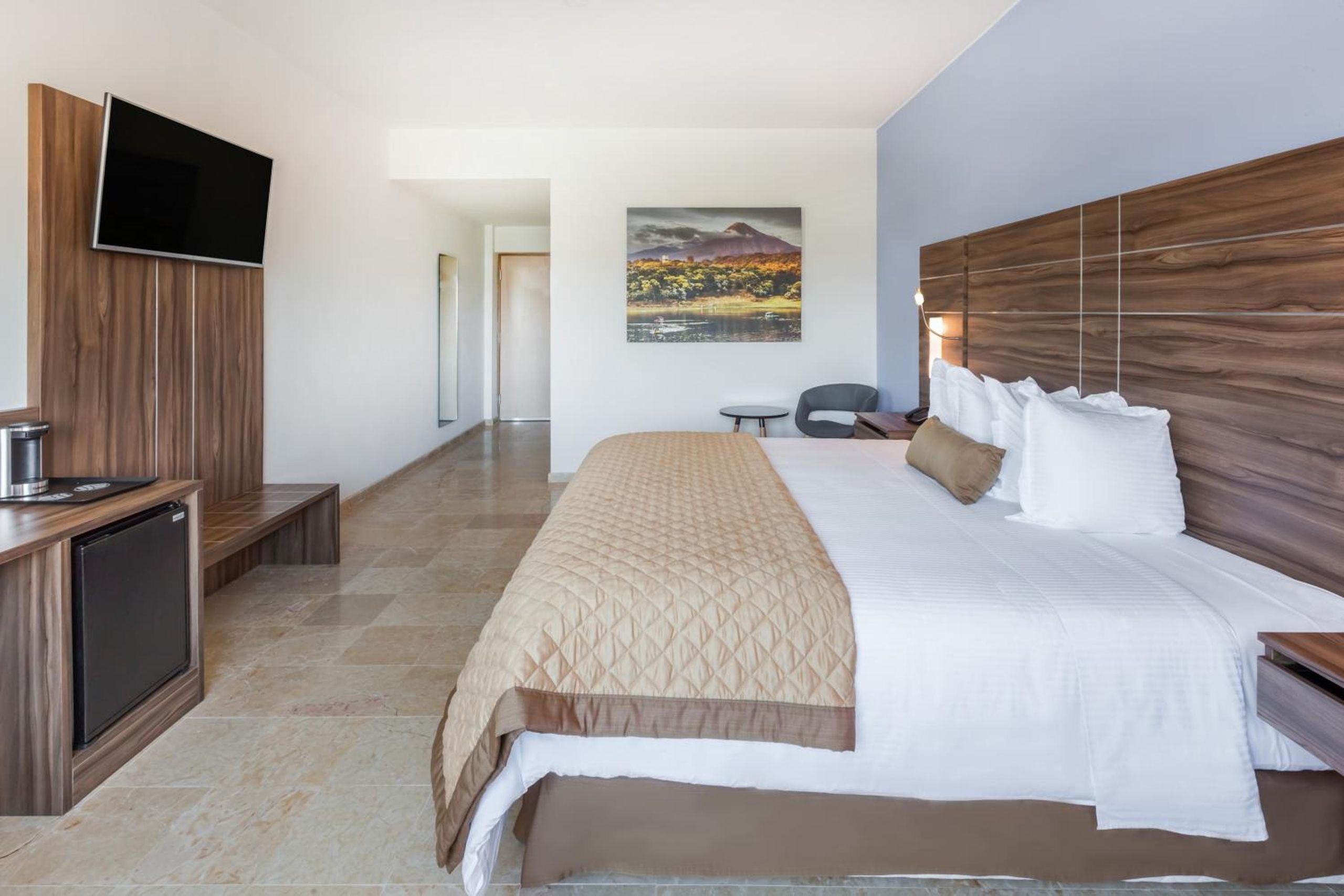 Habitación Ejecutiva 1 cama King