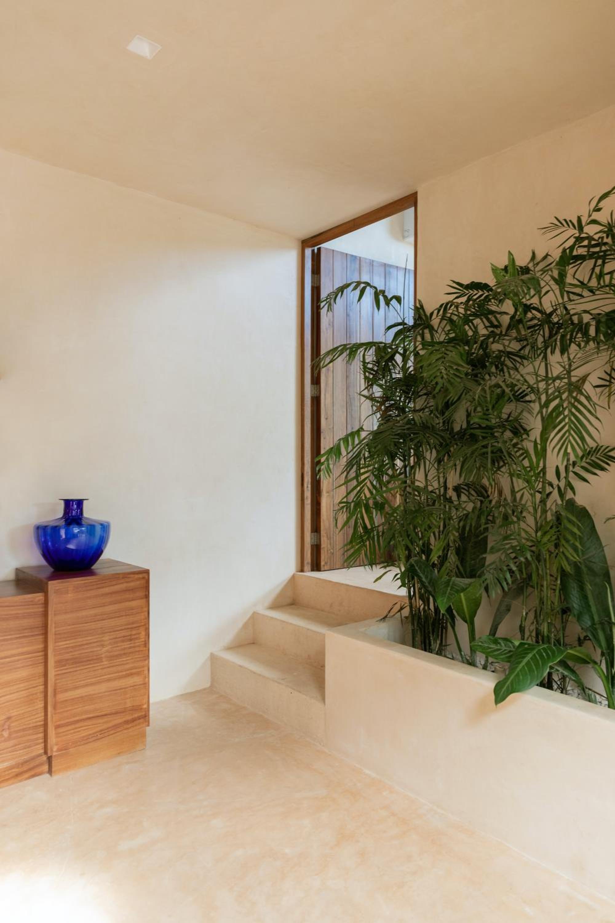 Suite Selva Superior - Lado de la selva — 7