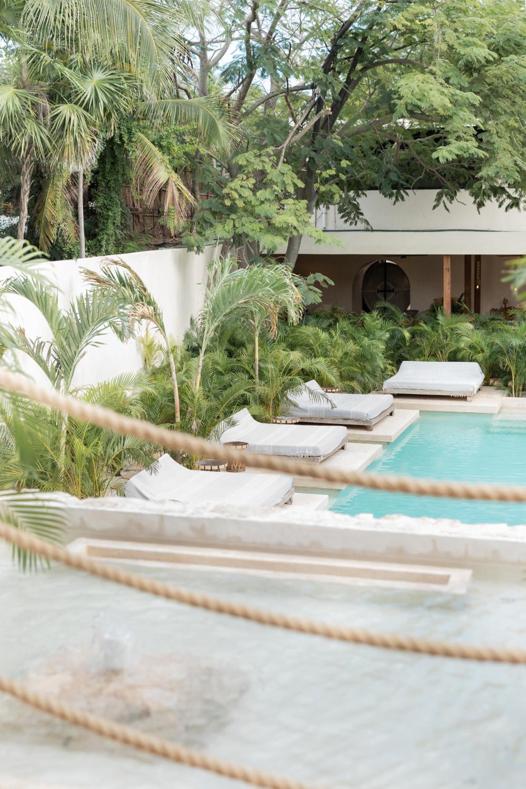 Suite Selva Superior - Lado de la selva — 6
