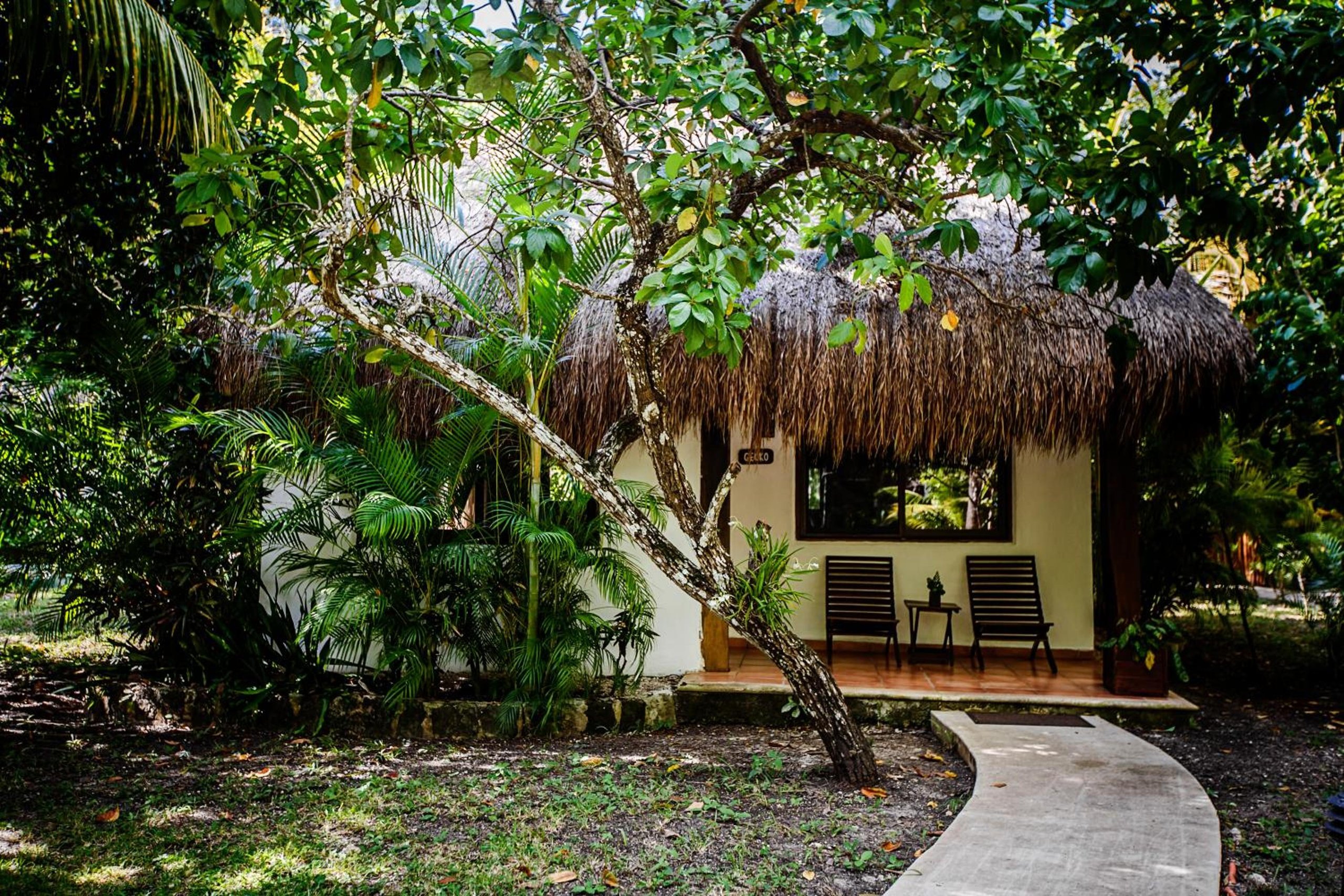 Cabaña con Vista al Jardín — 3