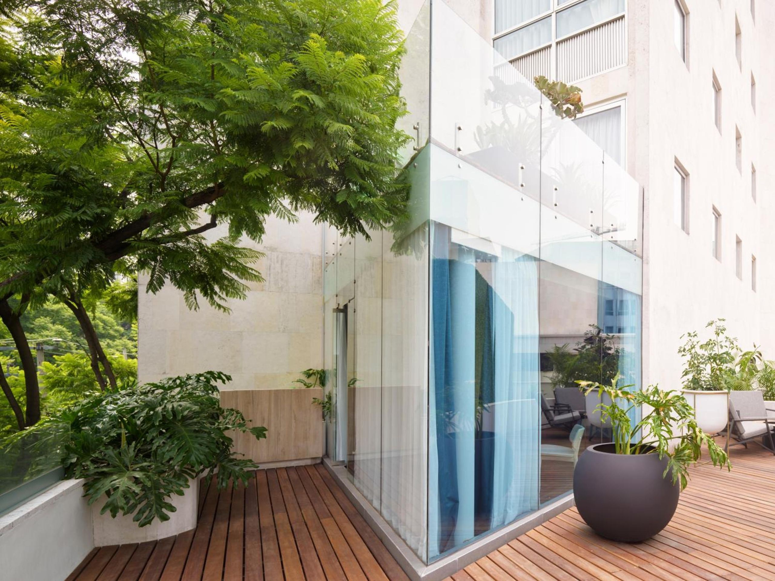 Suite Rey Mondrian con Terraza — 4