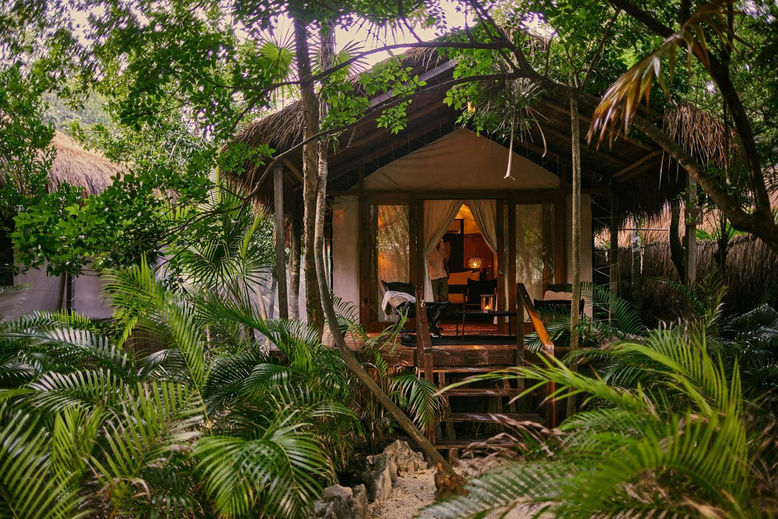 Habitación Selva — 2